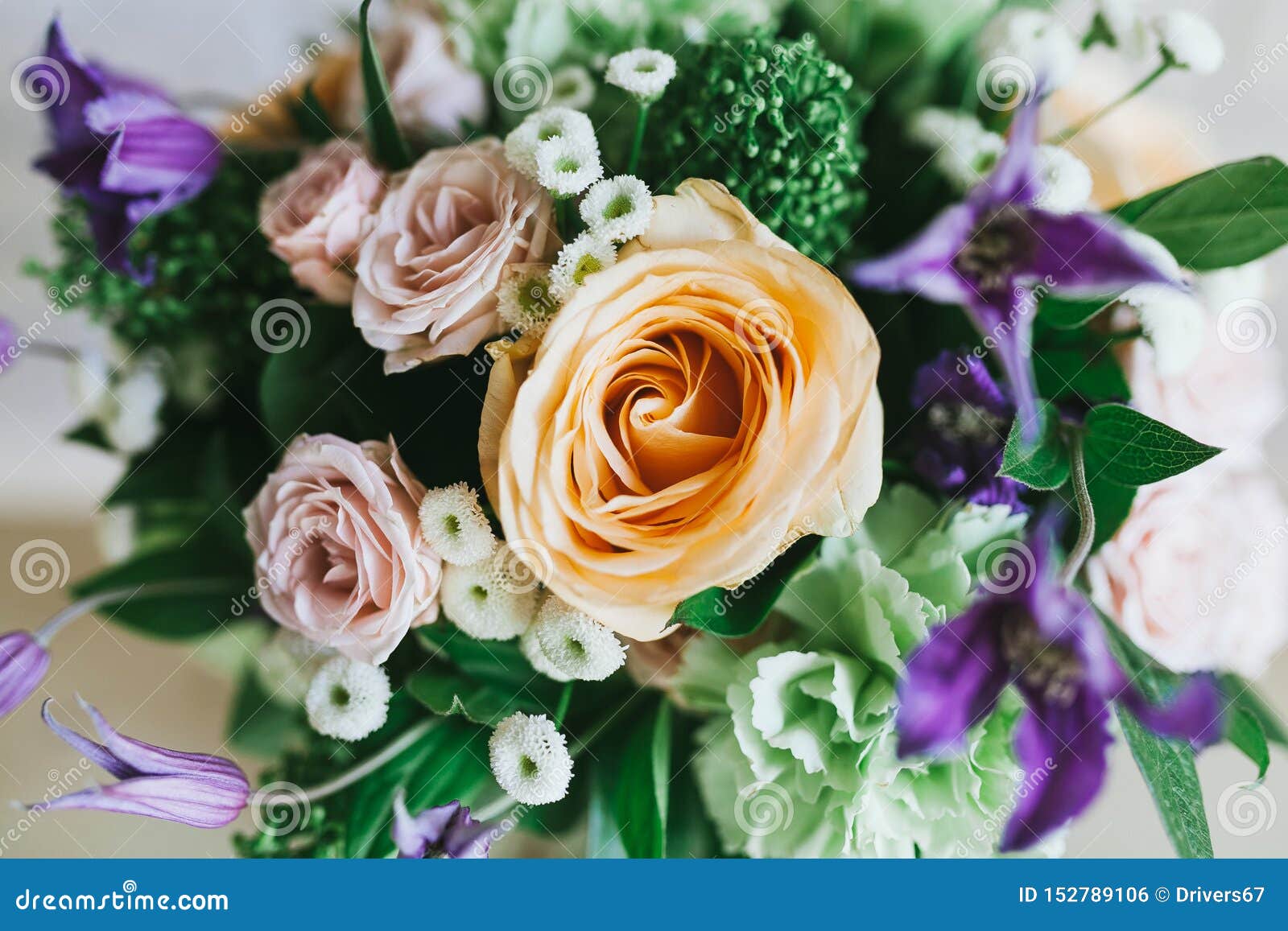 Delicate Beautiful Bouquet of Flowers Close Up Stock Photo Image of