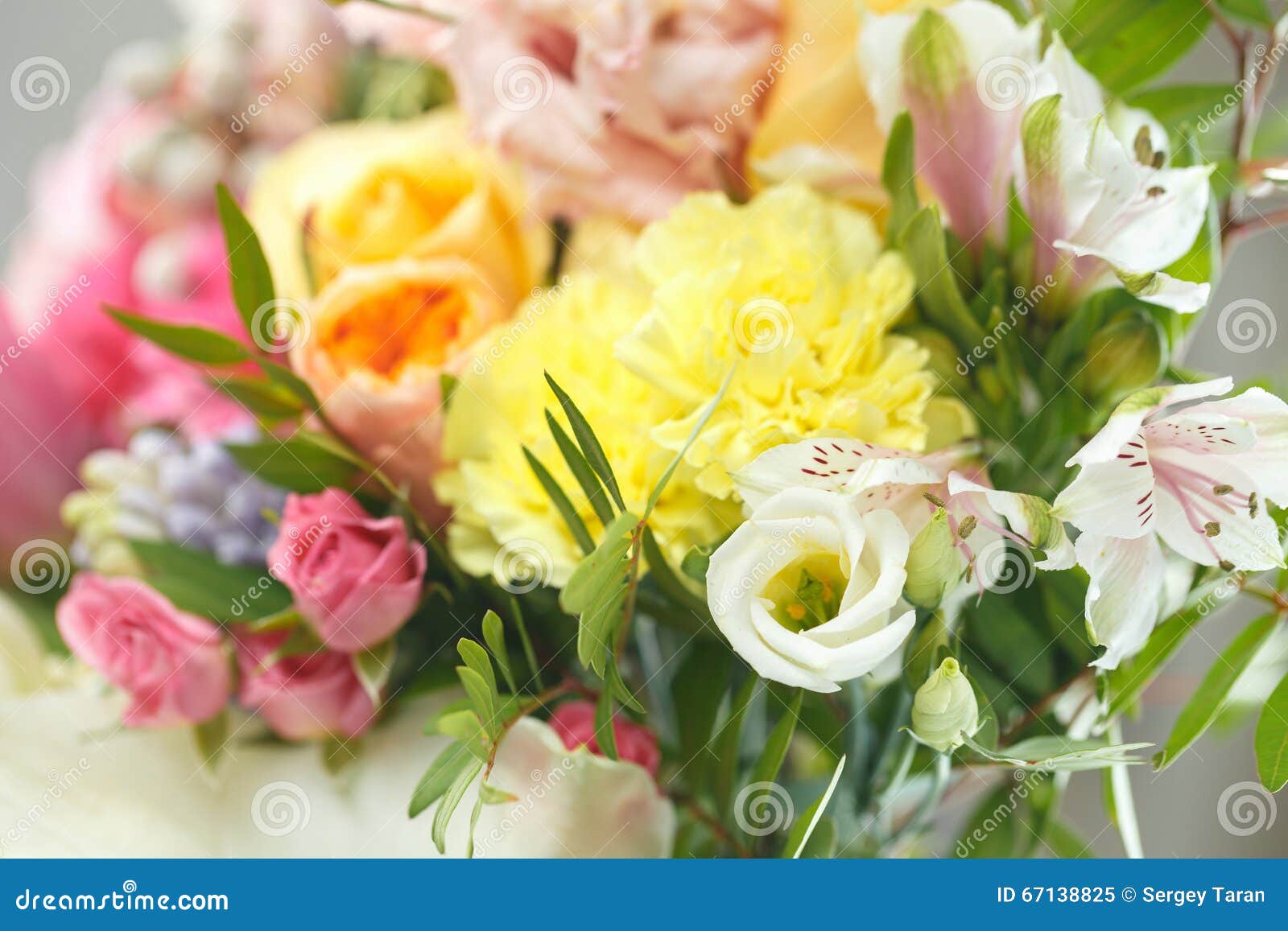 Delicate Bouquet of Bright Flowers Stock Image Image of green