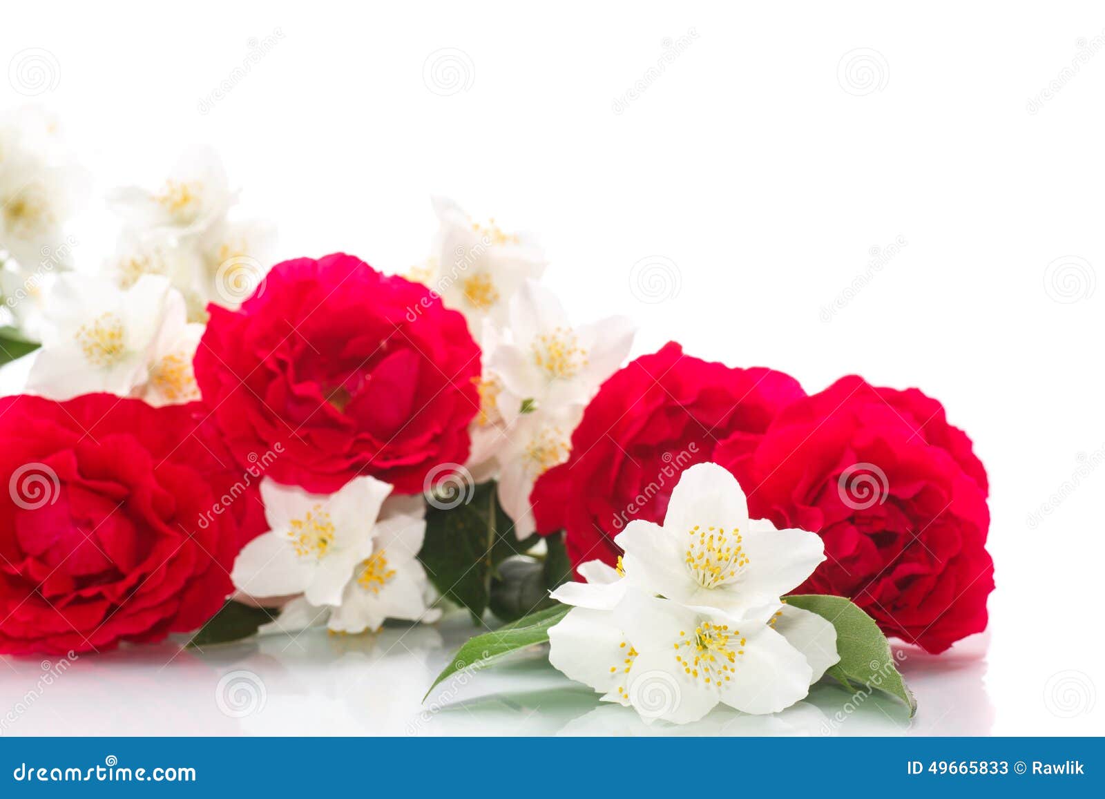 Delicate Bouquet of Roses and Jasmine Stock Image Image of background