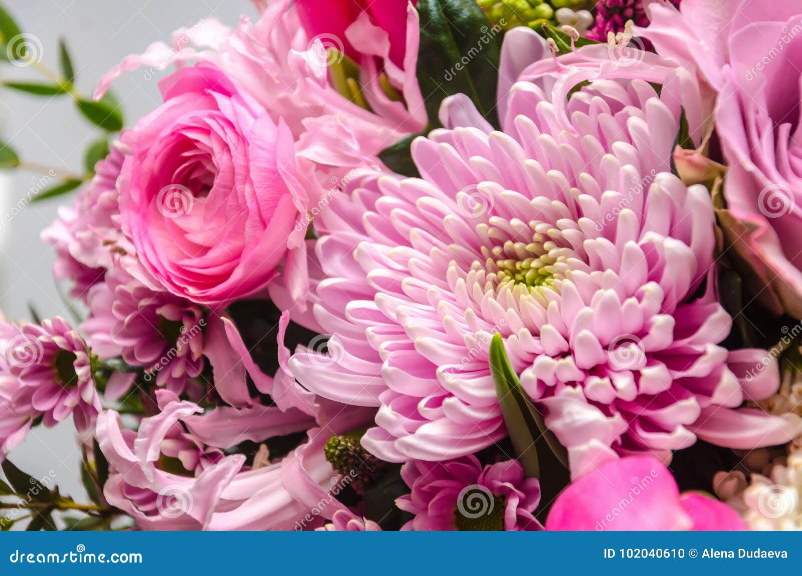 Delicate Fresh Bouquet of Fresh Flowers with a Pink Aster. Stock Photo ...