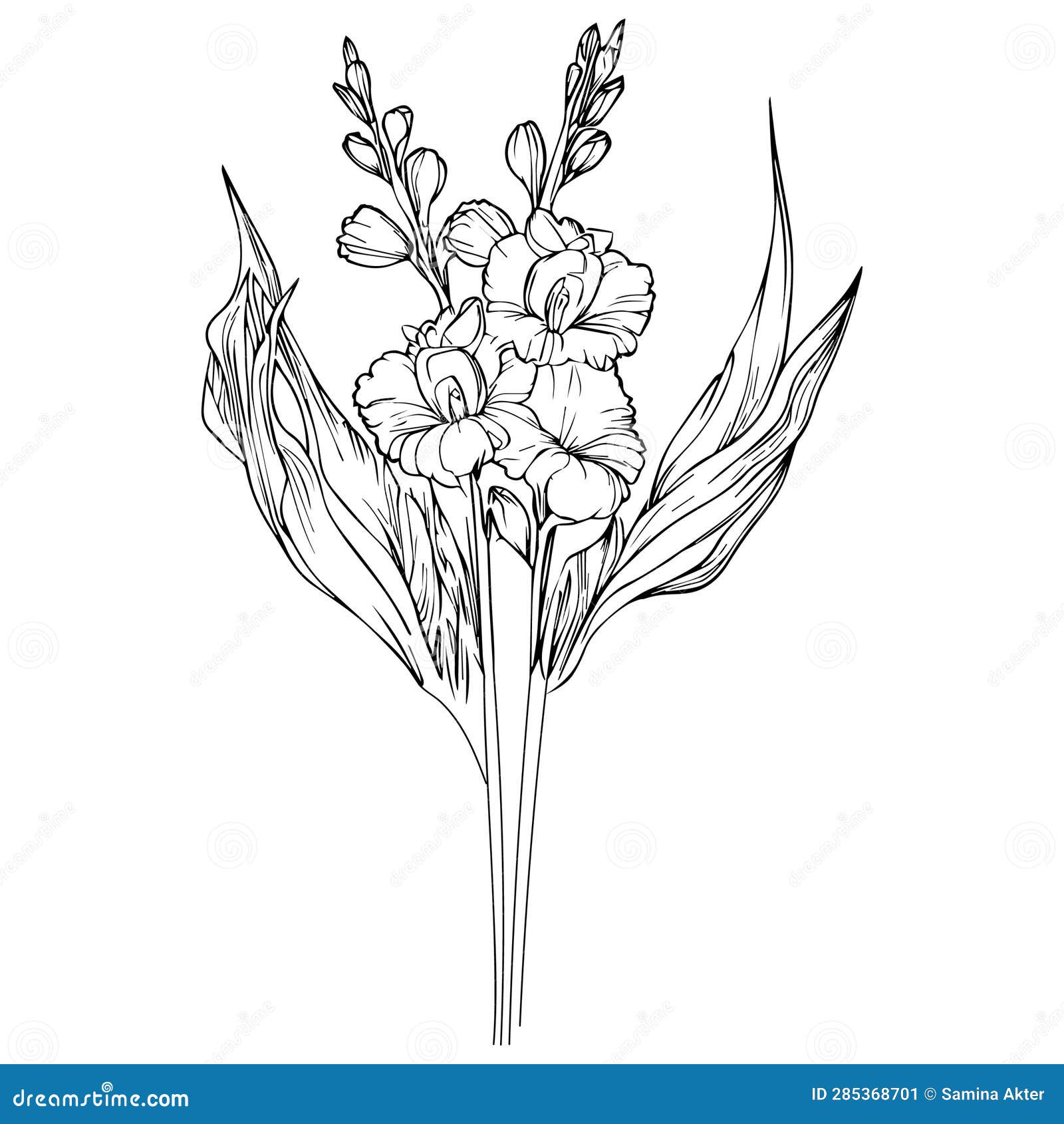 delicate gladiolus tattoo. gladiolus  , beautiful preciosa flower bouquet, hand-drawn coloring pages and book