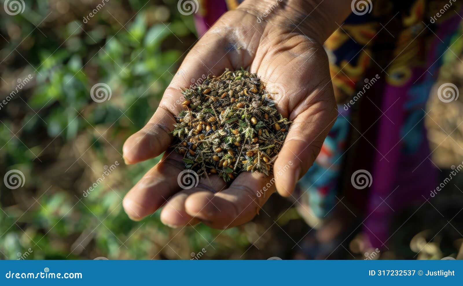 a delicate hand holding a handful of dried herbs used for centuries in traditional medicine for their healing properties