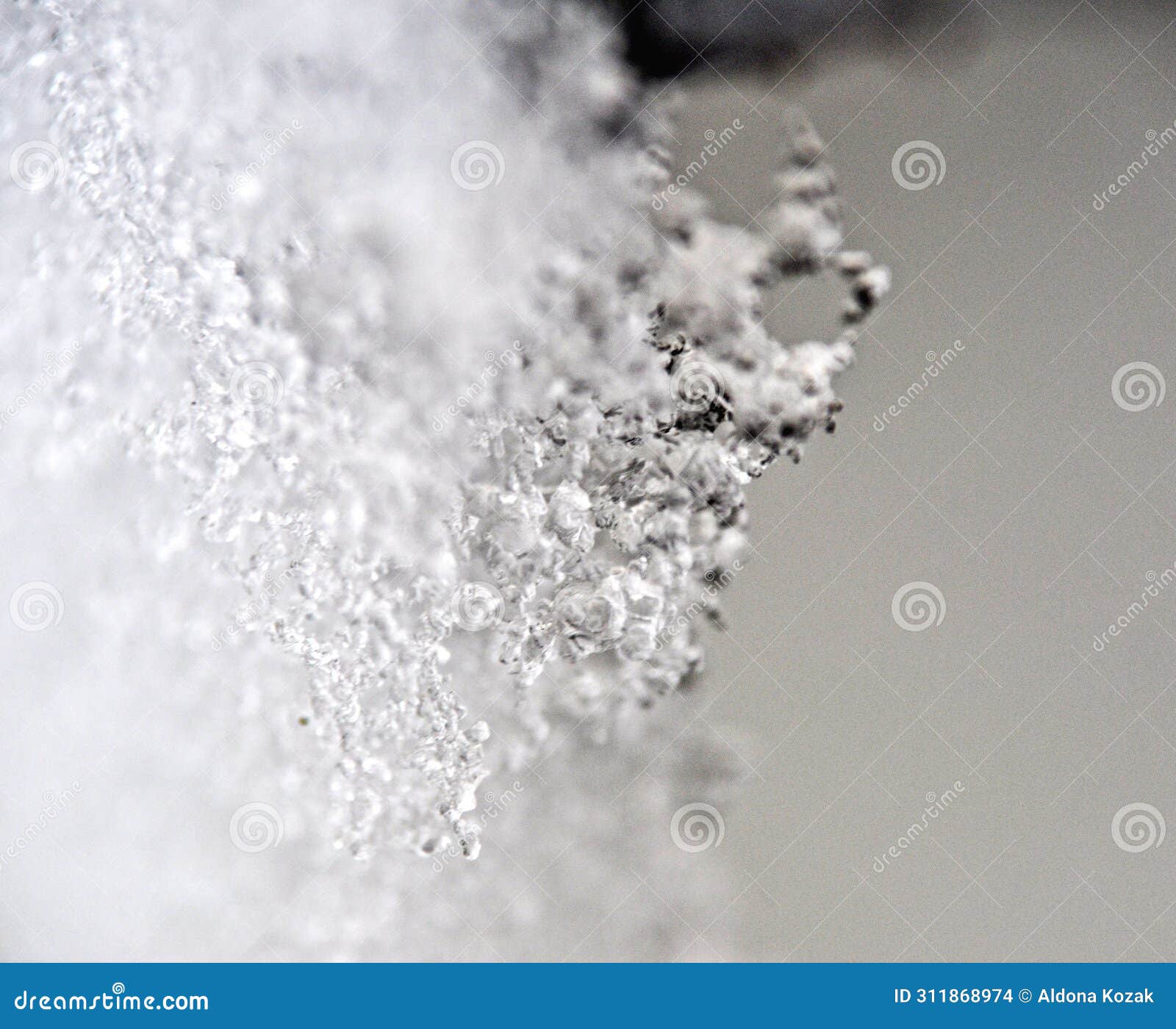the delicate and intricate structure of snow or frost, highlighting