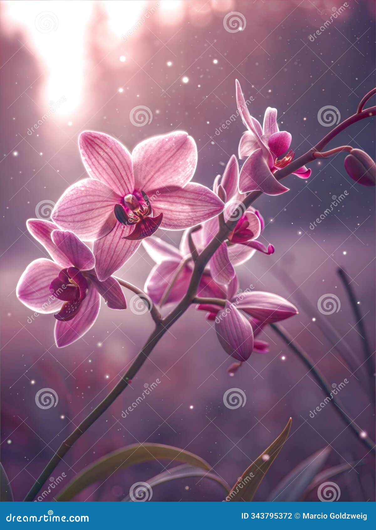 delicate orchid blossom in full bloom, with soft lighting creating an ethereal, dreamy atmosphere. ai generated image.