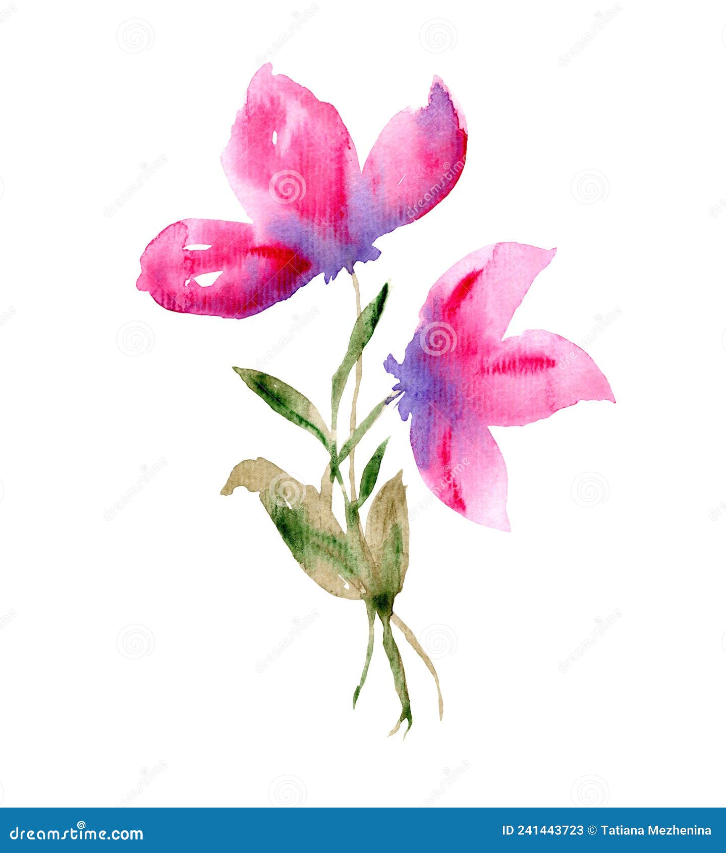 Delicate Watercolor Pink Flowers with Leaves Stock Image - Image of ...