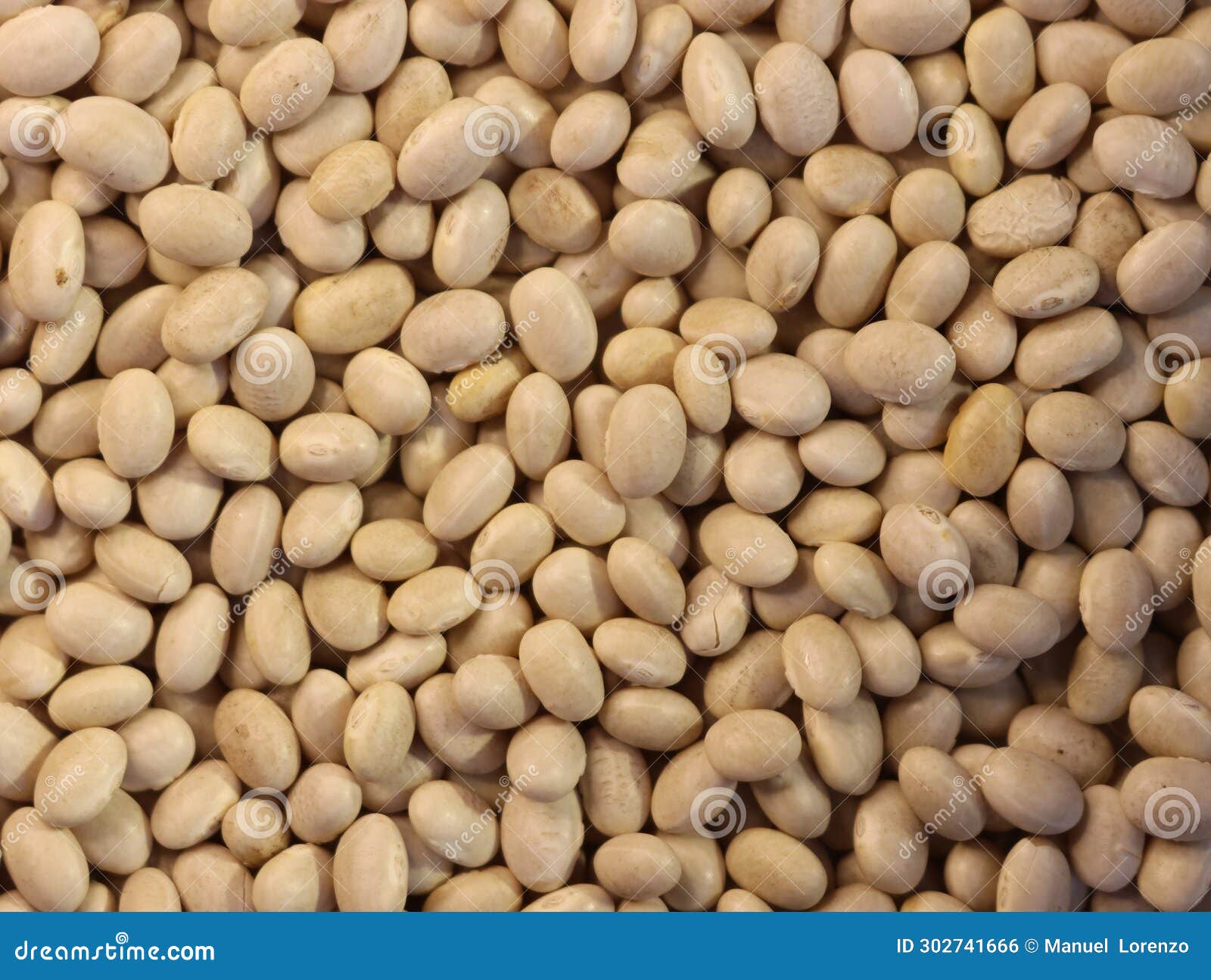 delicious beans beans healthy natural legumes needed background