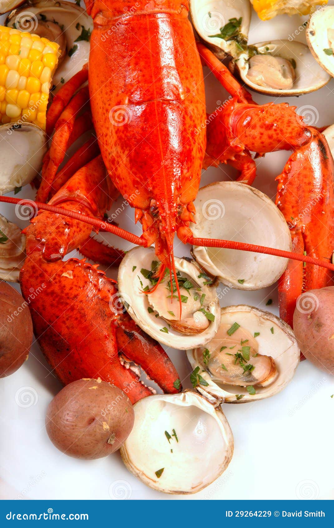 Delicious Boiled Lobster Dinner Stock Image Image of tail, dining