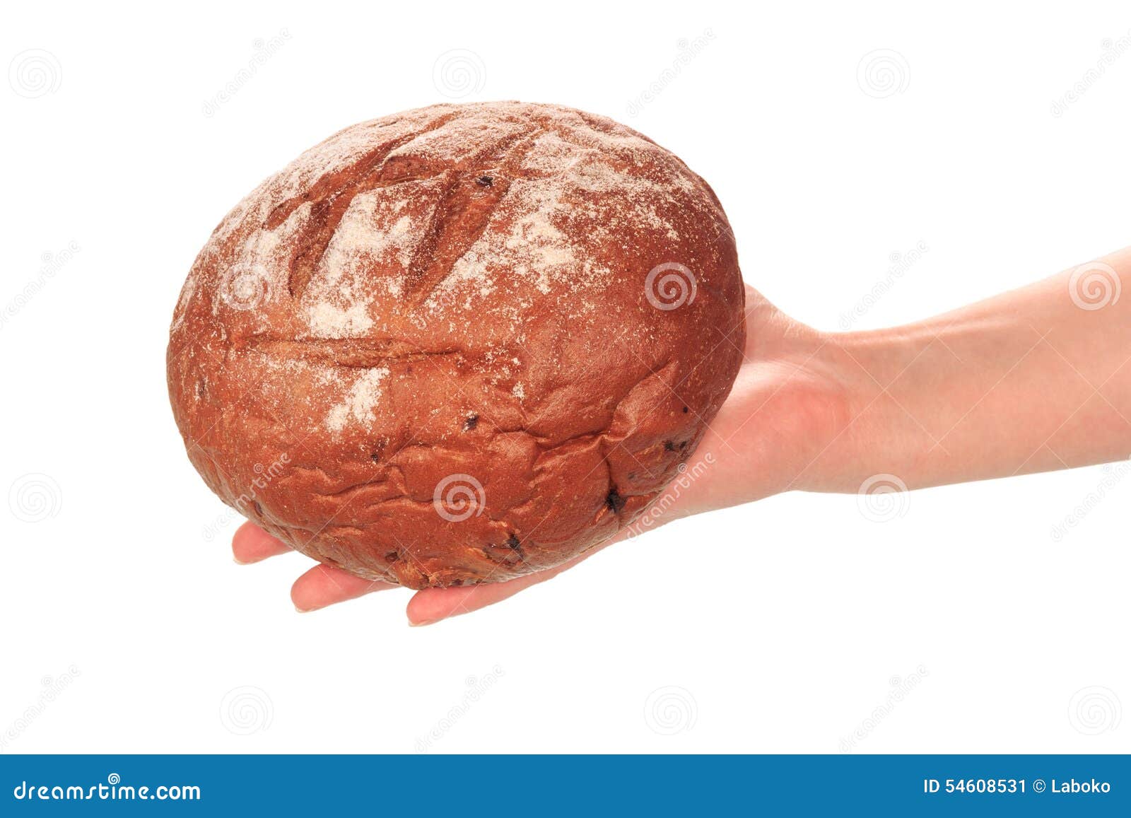 Delicious bread in hand stock image. Image of background 54608531