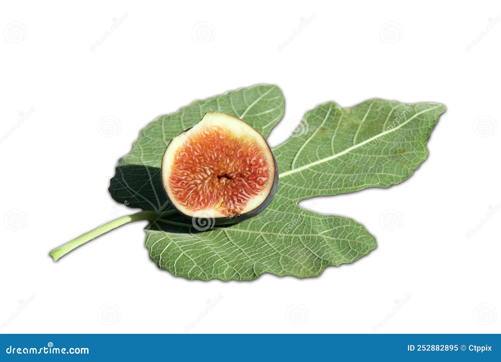 Delicious Brown Half Fig Isolated on White Stock Image Image of mersin, slice 252882895