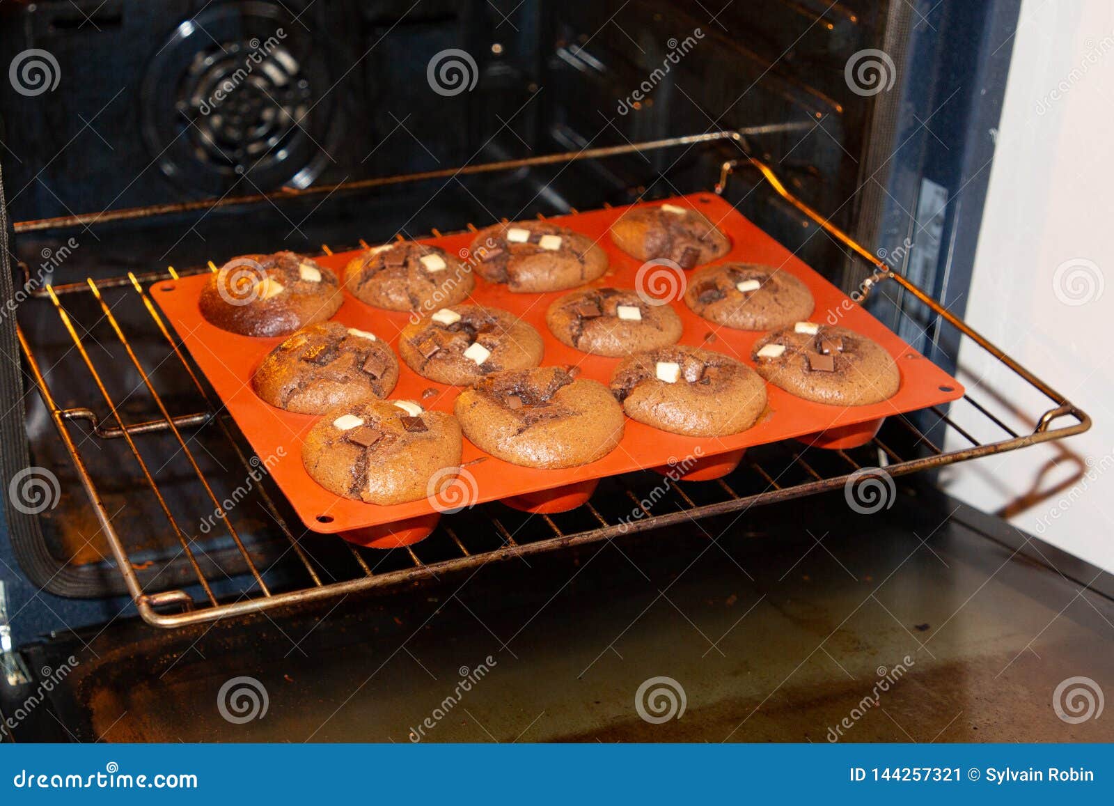 Delicious Chocolate Muffins in a Mould Out of the Oven Stock Image