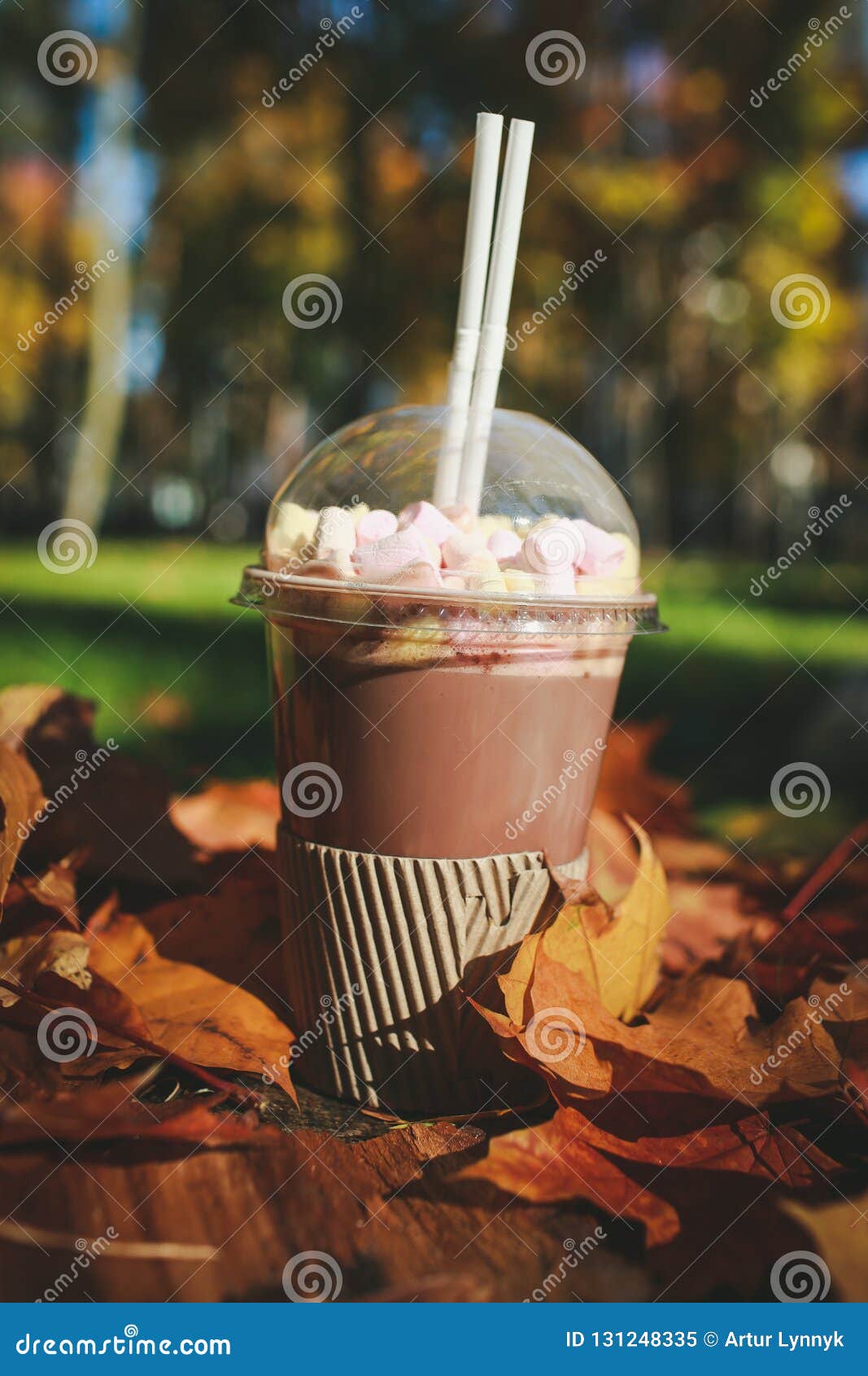 Download Delicious Cocoa With Marshmallows And A Tube With Condensed Milk Stock Image Image Of Cocoa Closeup 131248335