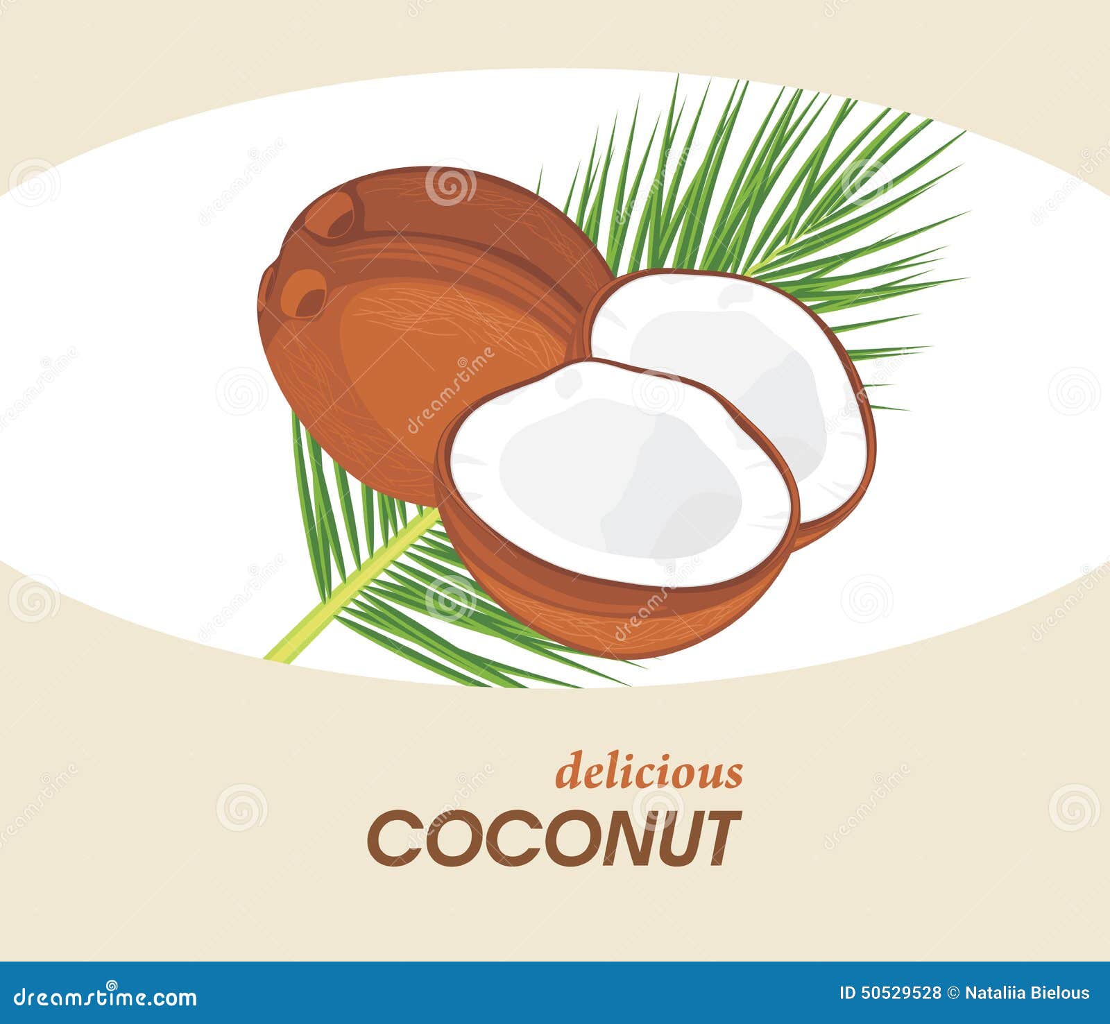 Delicious Coconut. Label for Design Stock Vector - Illustration of ...