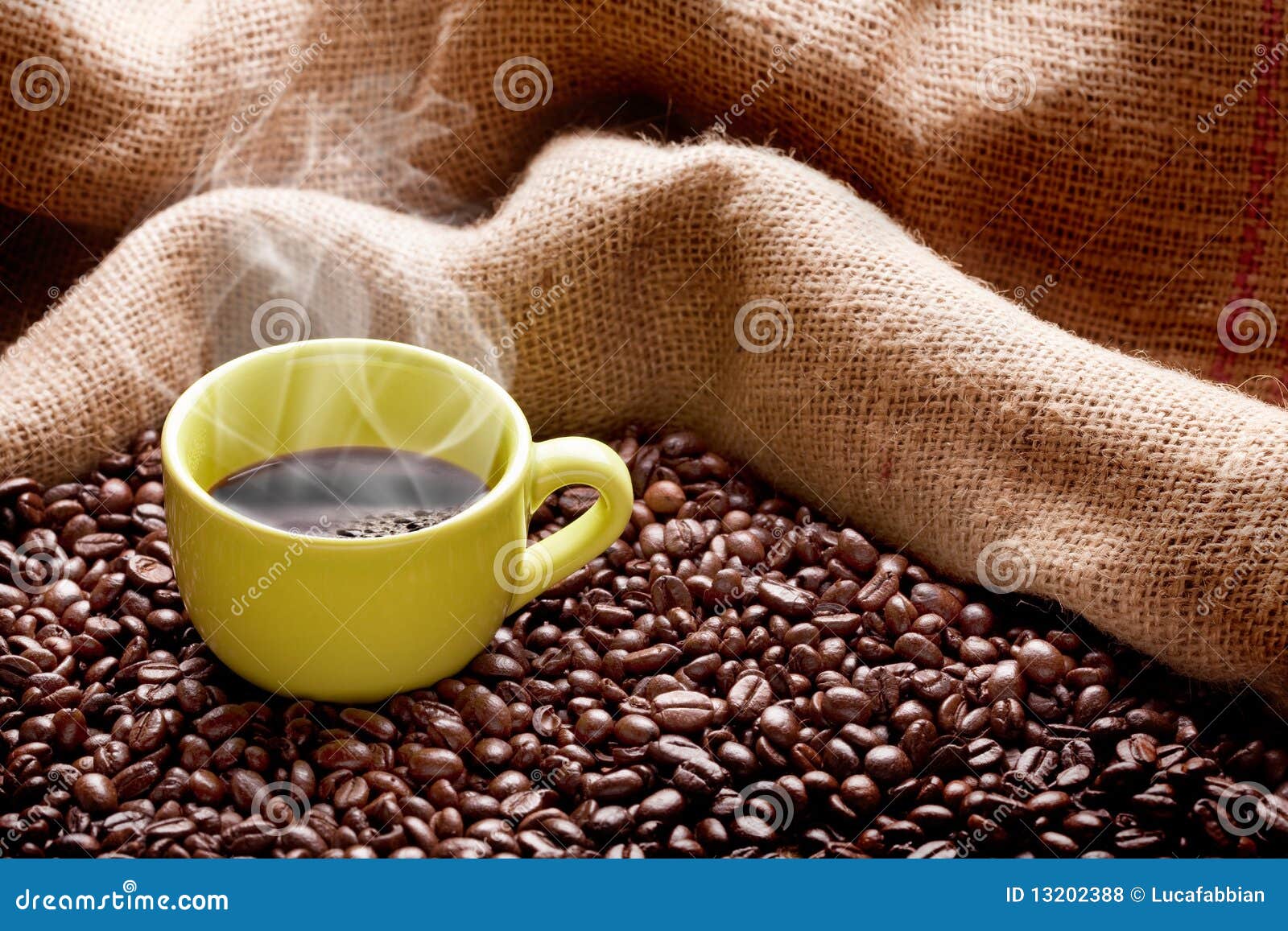 Delicious coffee stock photo. Image of gourmet, bubble 13202388