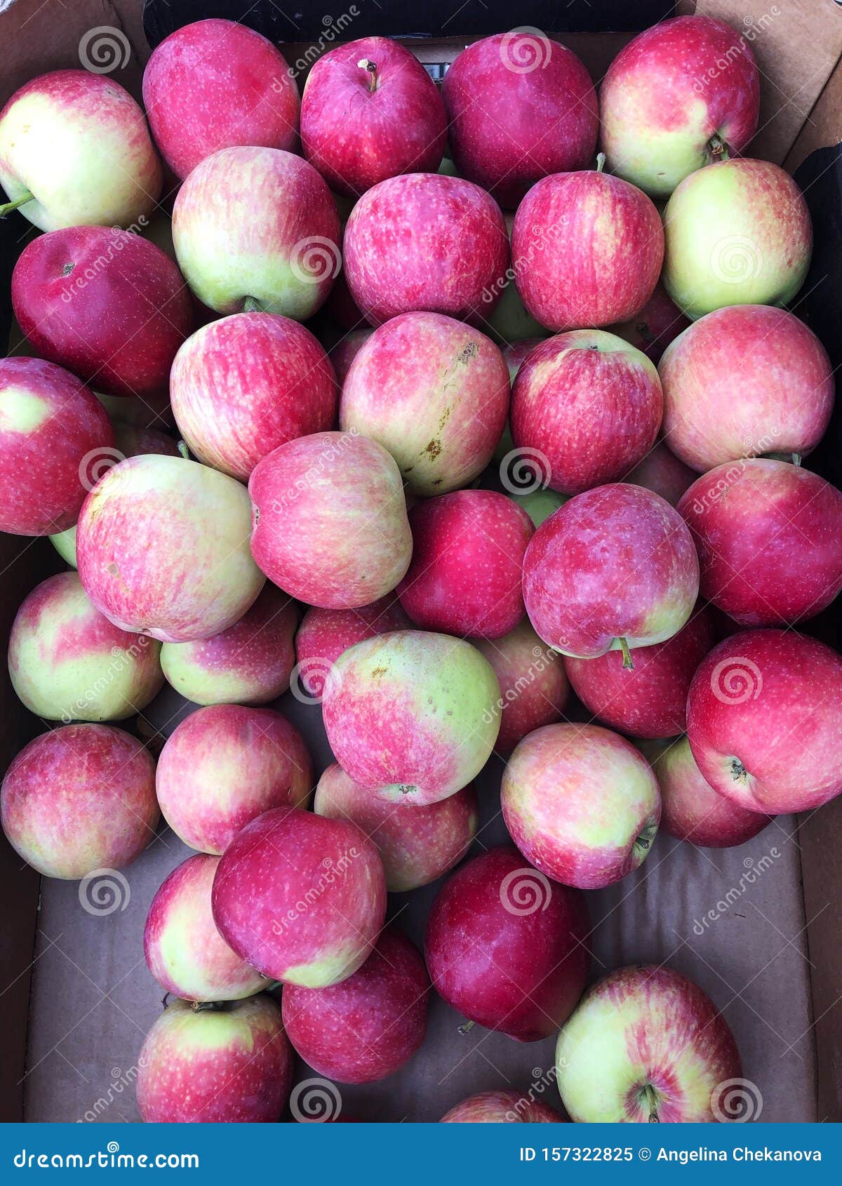 Delicious Fresh Apples in Summer on the Market Stock Image Image of garden, summer 157322825