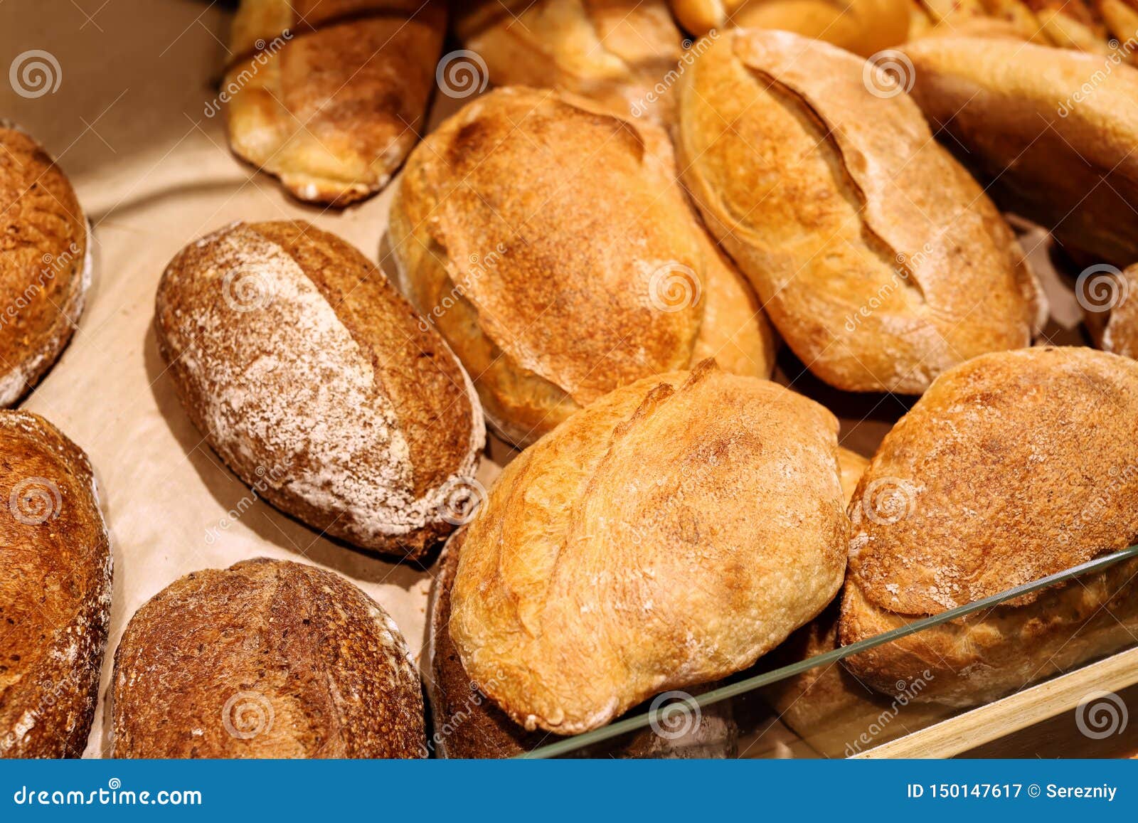 Delicious Fresh Bread on Shelf in Bakery Stock Image Image of baked