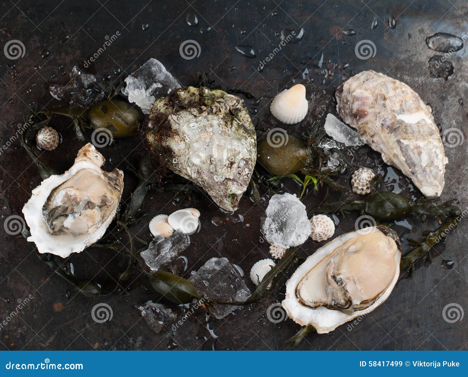 Delicious fresh oysters stock image. Image of lunch, omega 58417499