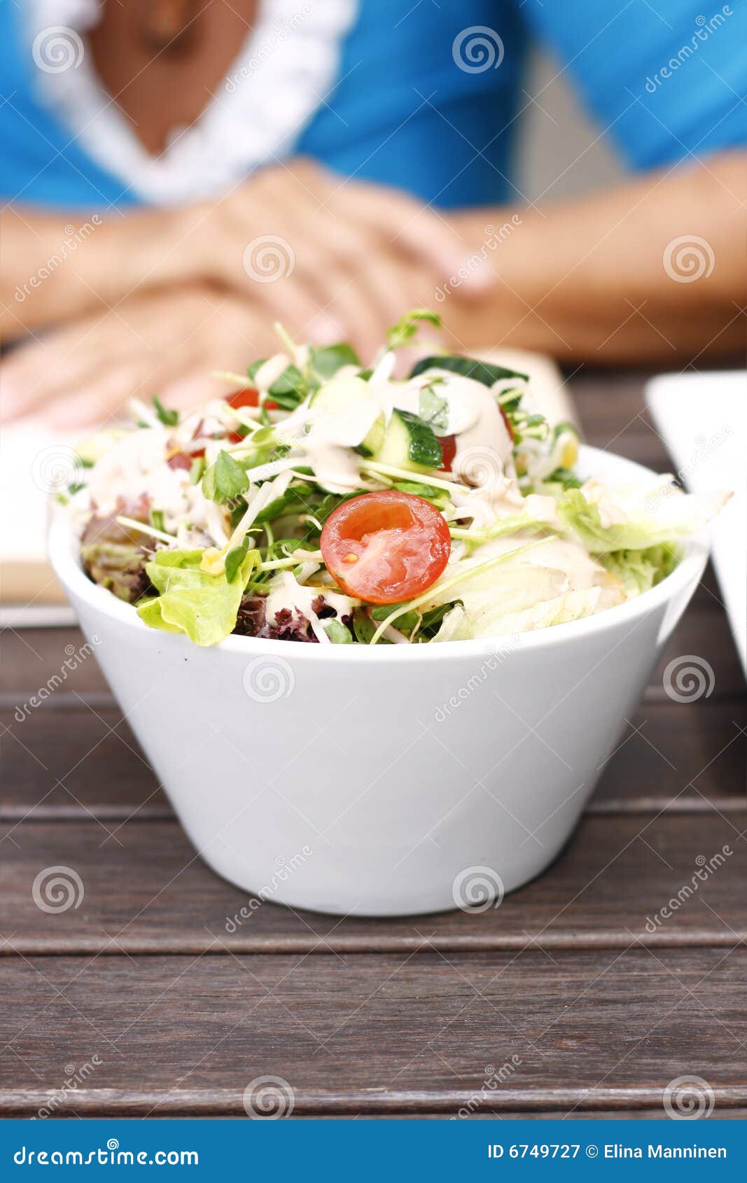 Delicious garden salad stock image. Image of gourmet, product 6749727