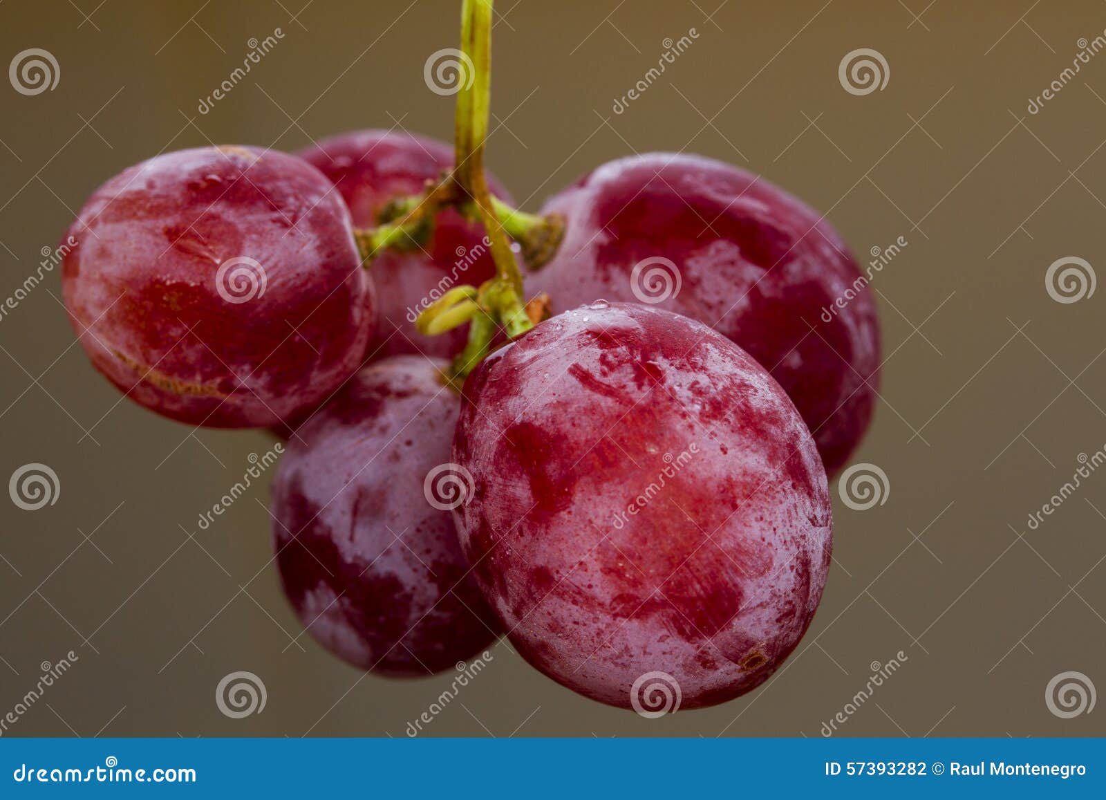 Delicious grapes stock photo. Image of macro, beuty, ingredients 57393282