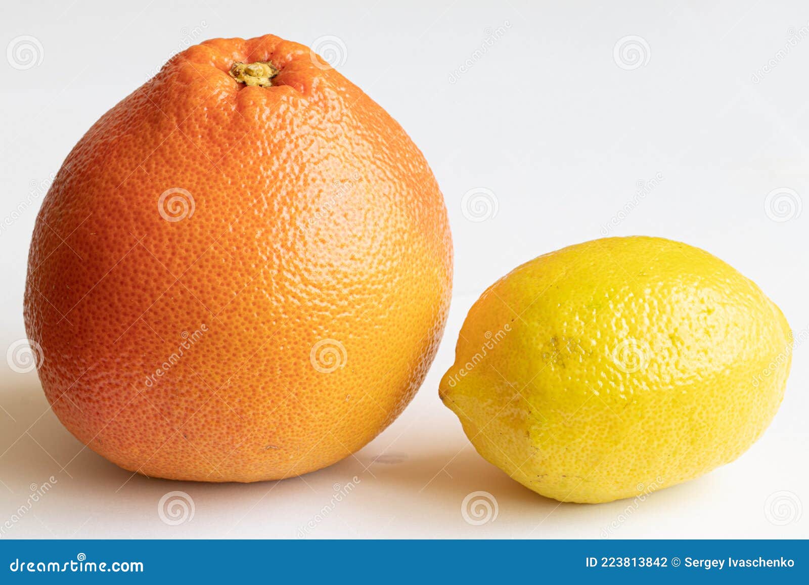 grapefruit and lemon are high in vitamin c.