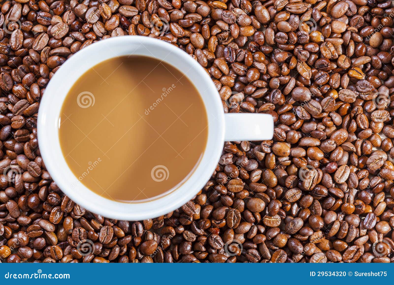 Delicious Hot Coffee with Cream on Coffee Beans Stock Photo Image of