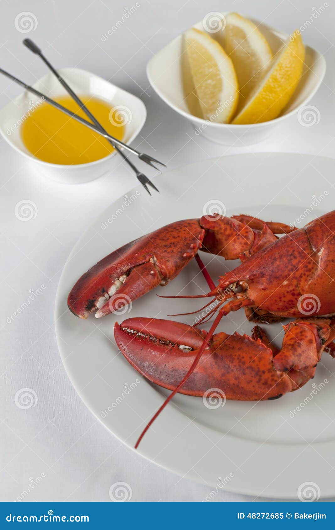 Delicious lobster in plate stock image. Image of crayfish 48272685