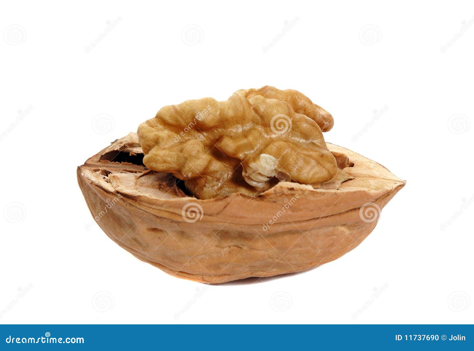 Delicious open walnut stock photo. Image of nourishment 11737690