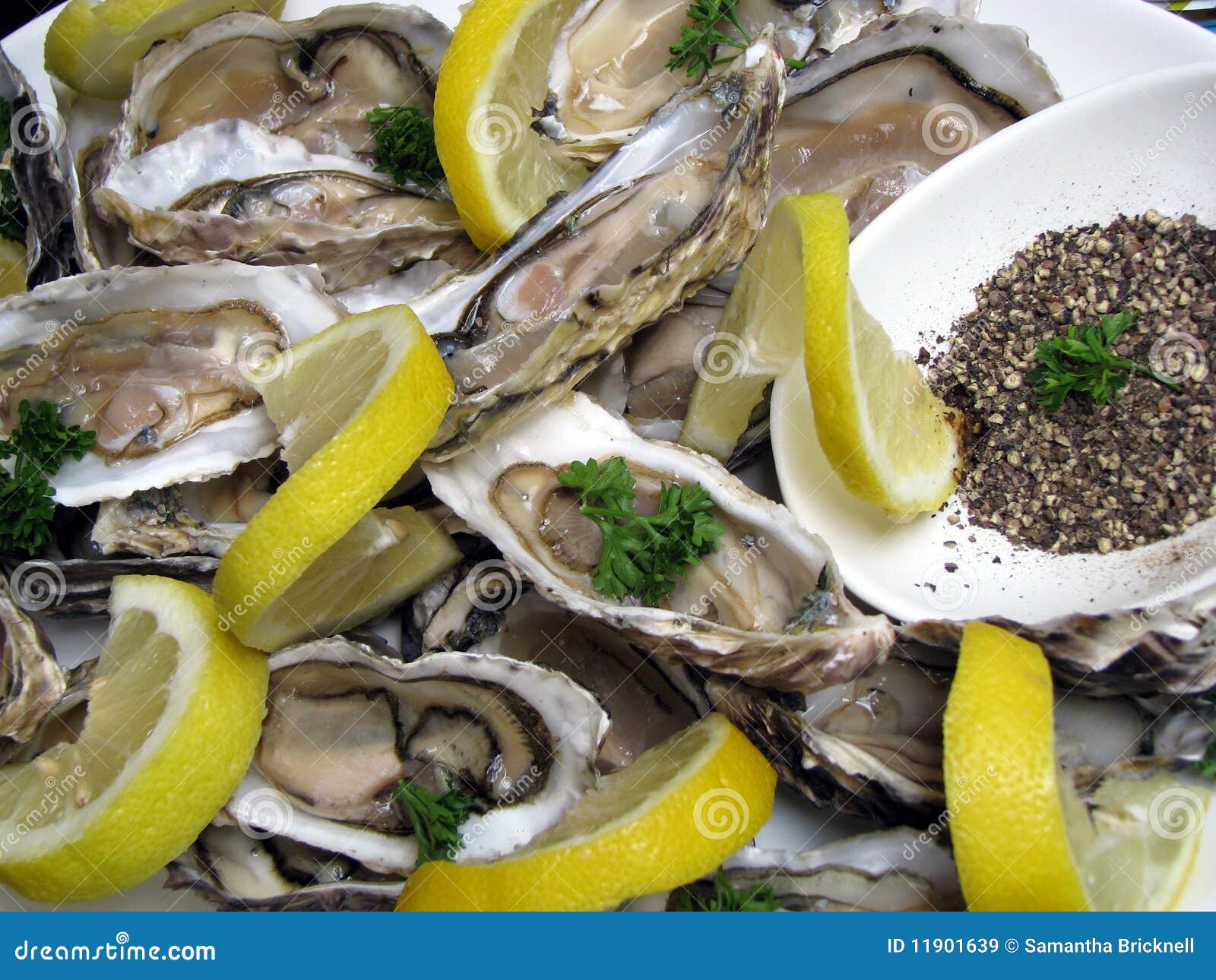 Delicious Oysters stock image. Image of gourmet, shell 11901639