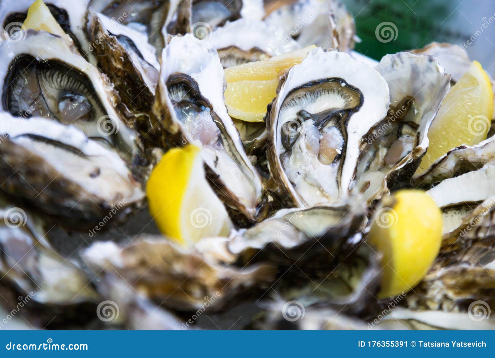 Delicious Oysters with Lemon on the Plate Stock Image Image of