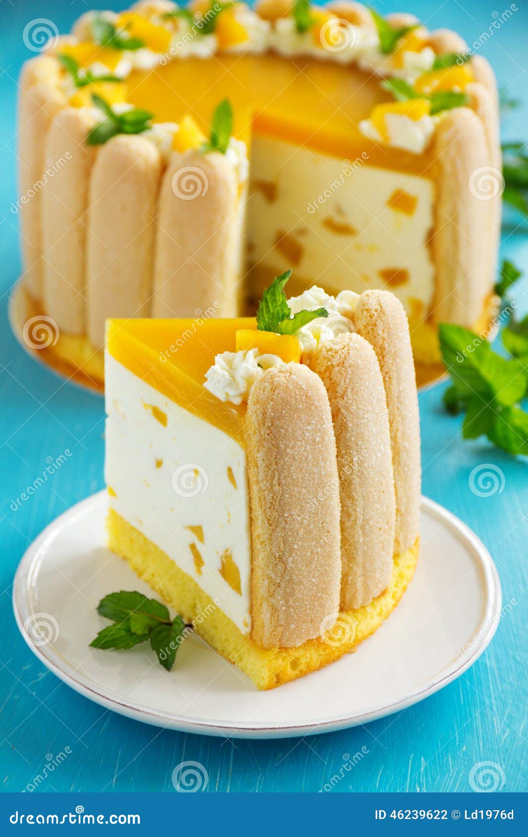 Delicious Pound Cake Charlotte Stock Photo Image of gourmet, bakery