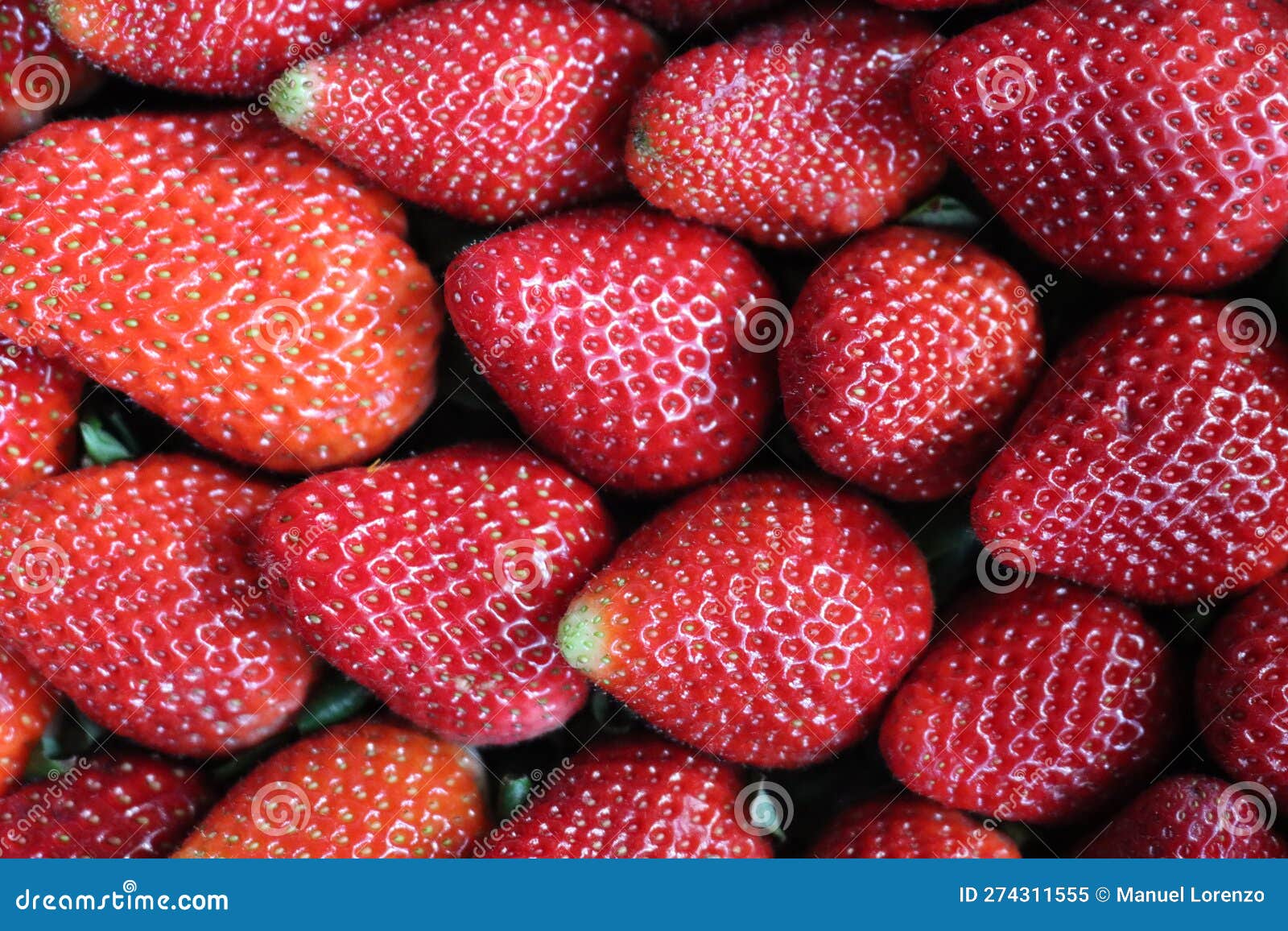 delicious strawberries fresh fruits natural seeds dessert red