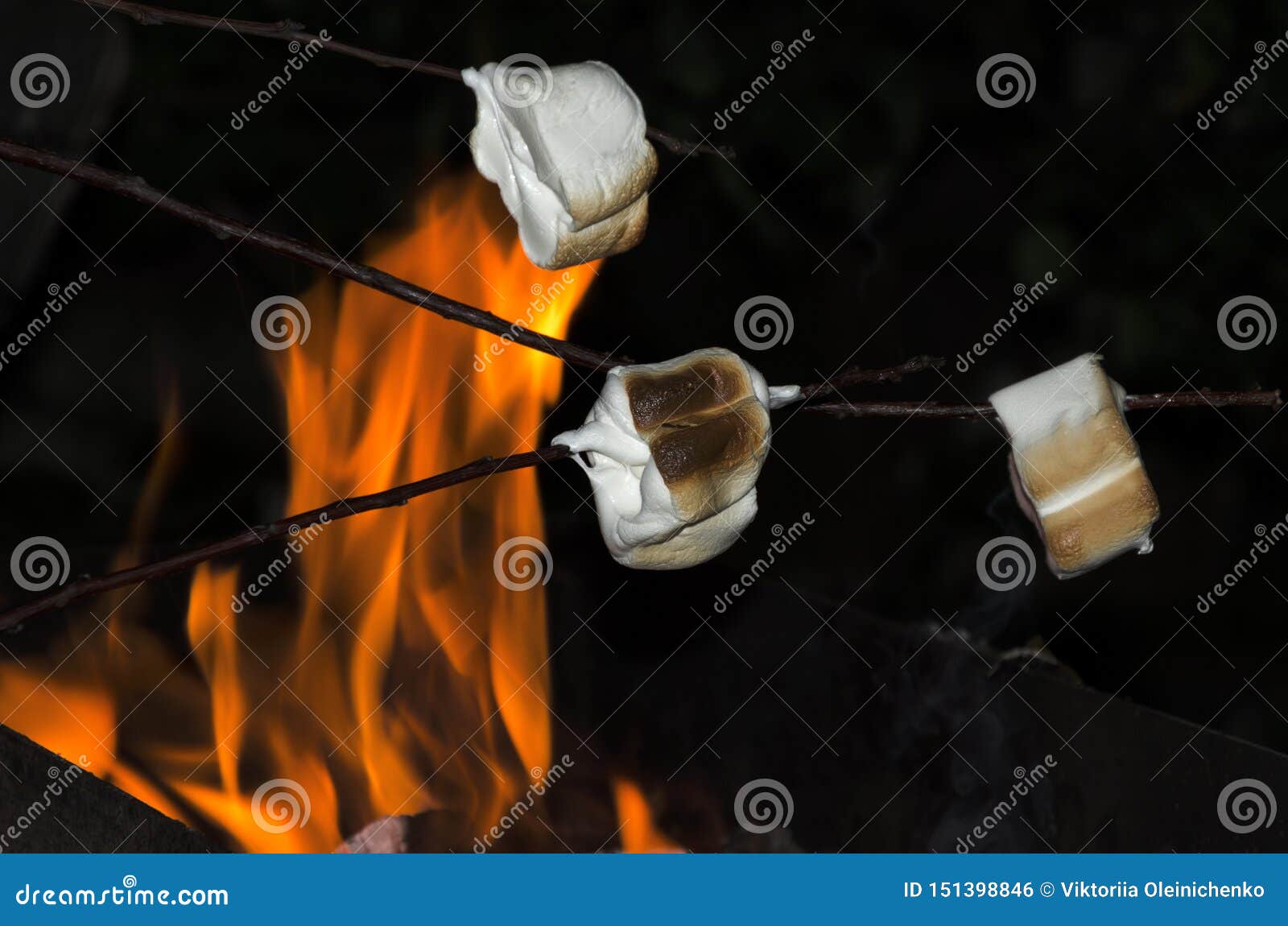 Delicious Toasted Marshmallows on the Sticks.Hiking Snacks in the ...