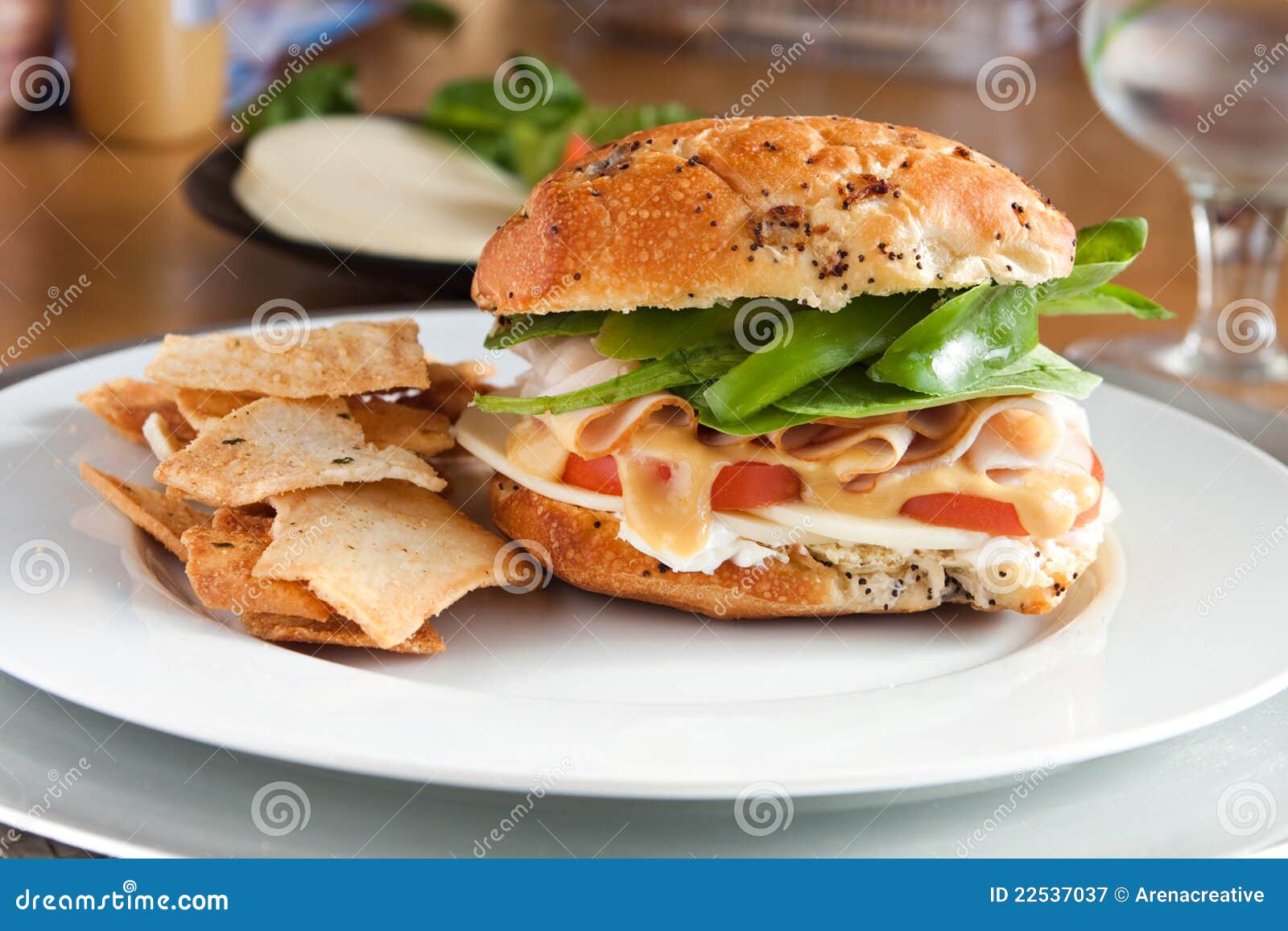 Delicious Turkey Sandwich and Pita Stock Image Image of cuisine