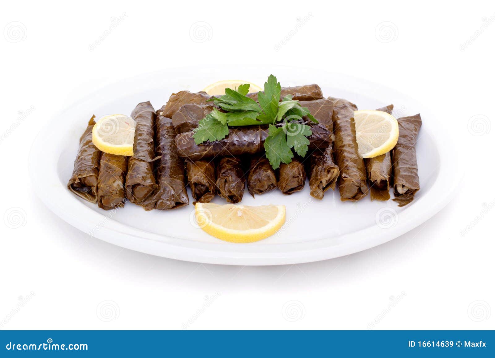 Delicious Vegetarian Stuffed Grape Leaves Stock Image Image of lemon