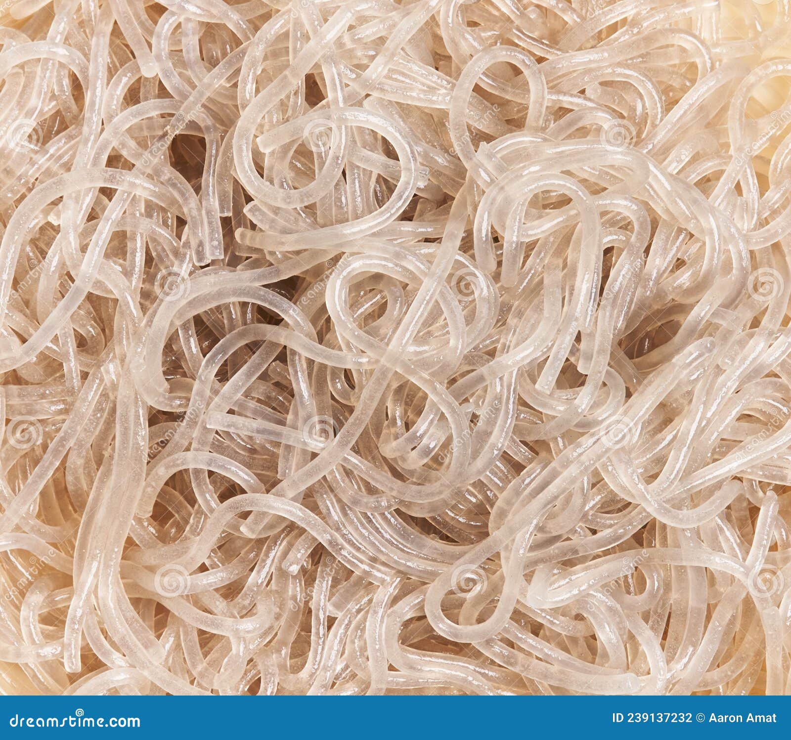 Delicious White Rice Noodles Texture Stock Photo Image of noodles