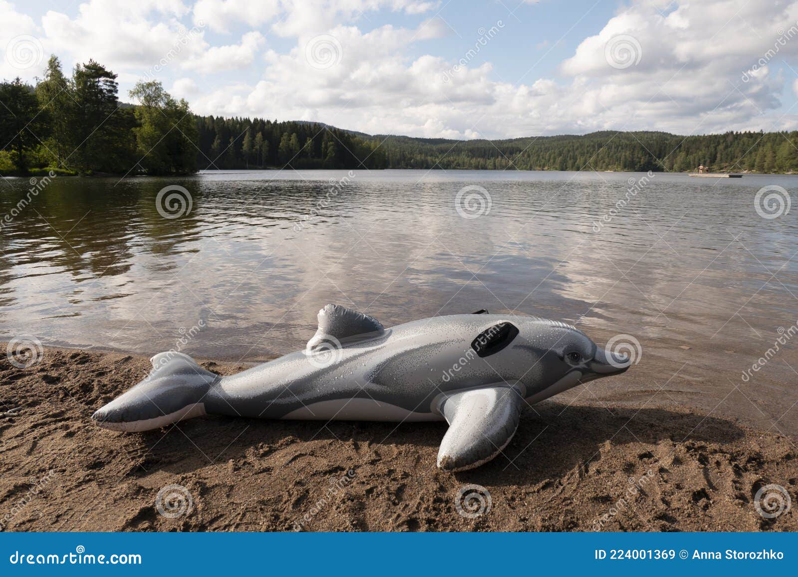 delphin on beach summer time
