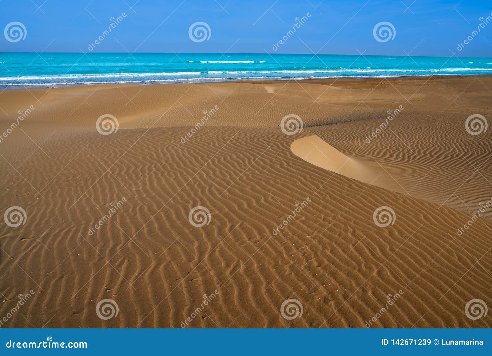 delta del ebro beach punta del fangar