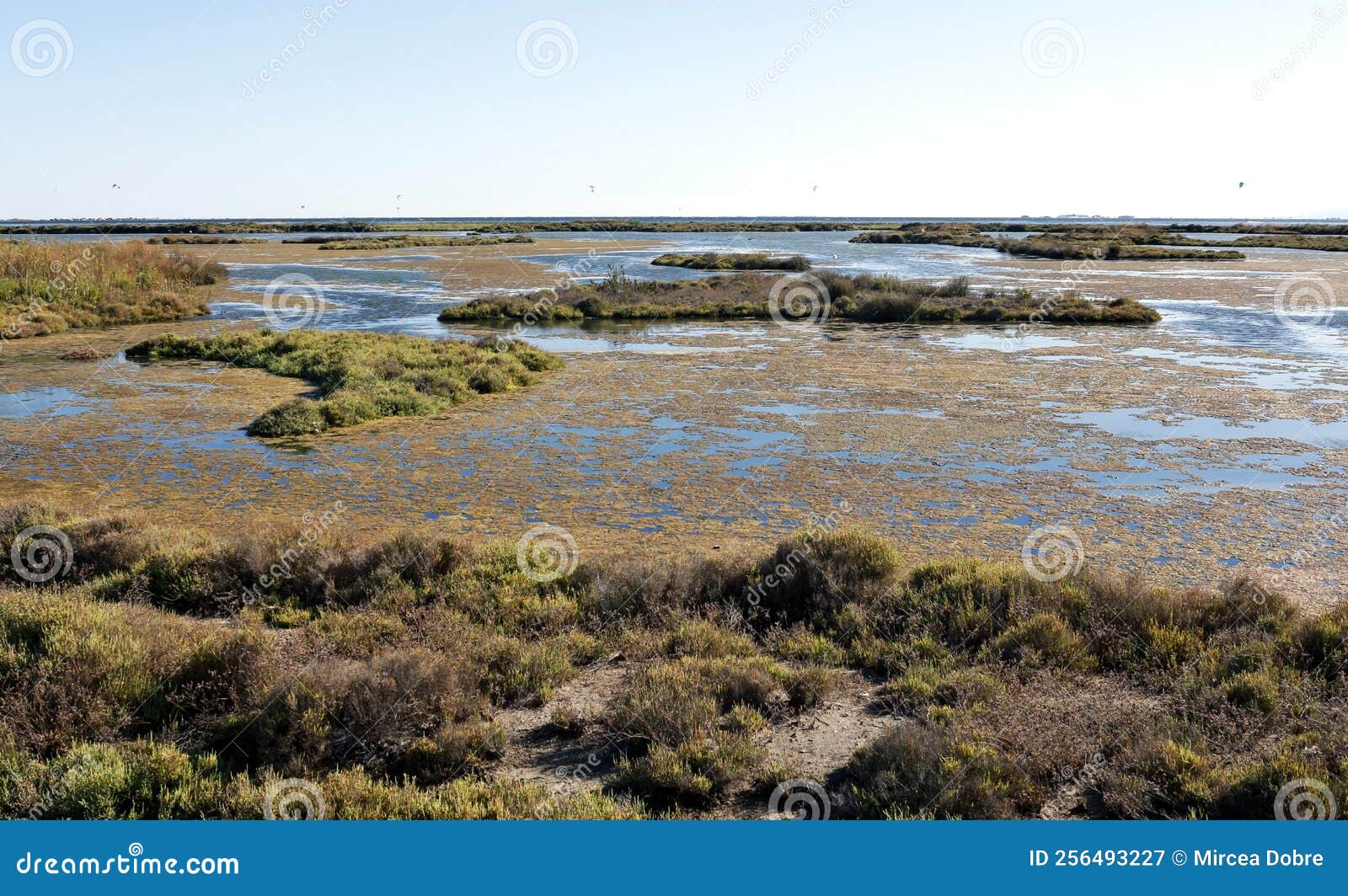 delta del ebro en cataluÃÂ±a, espaÃÂ±a,