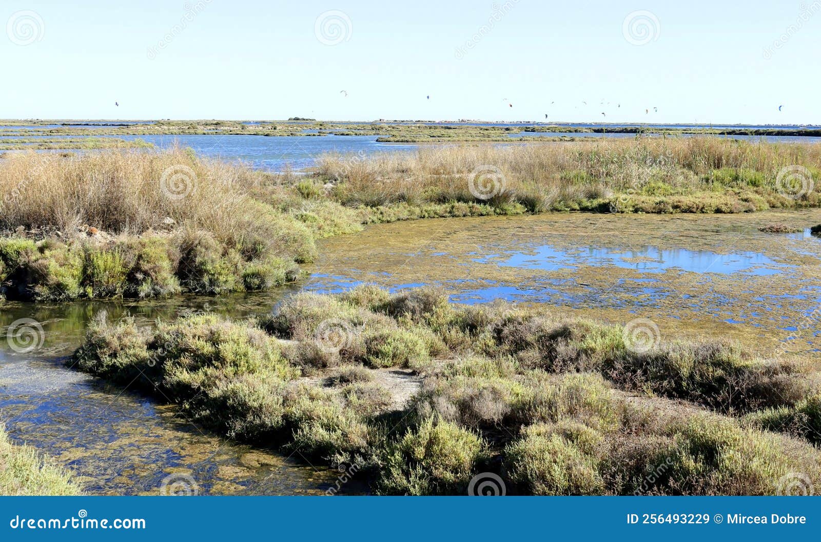 delta del ebro en cataluÃÂ±a, espaÃÂ±a,