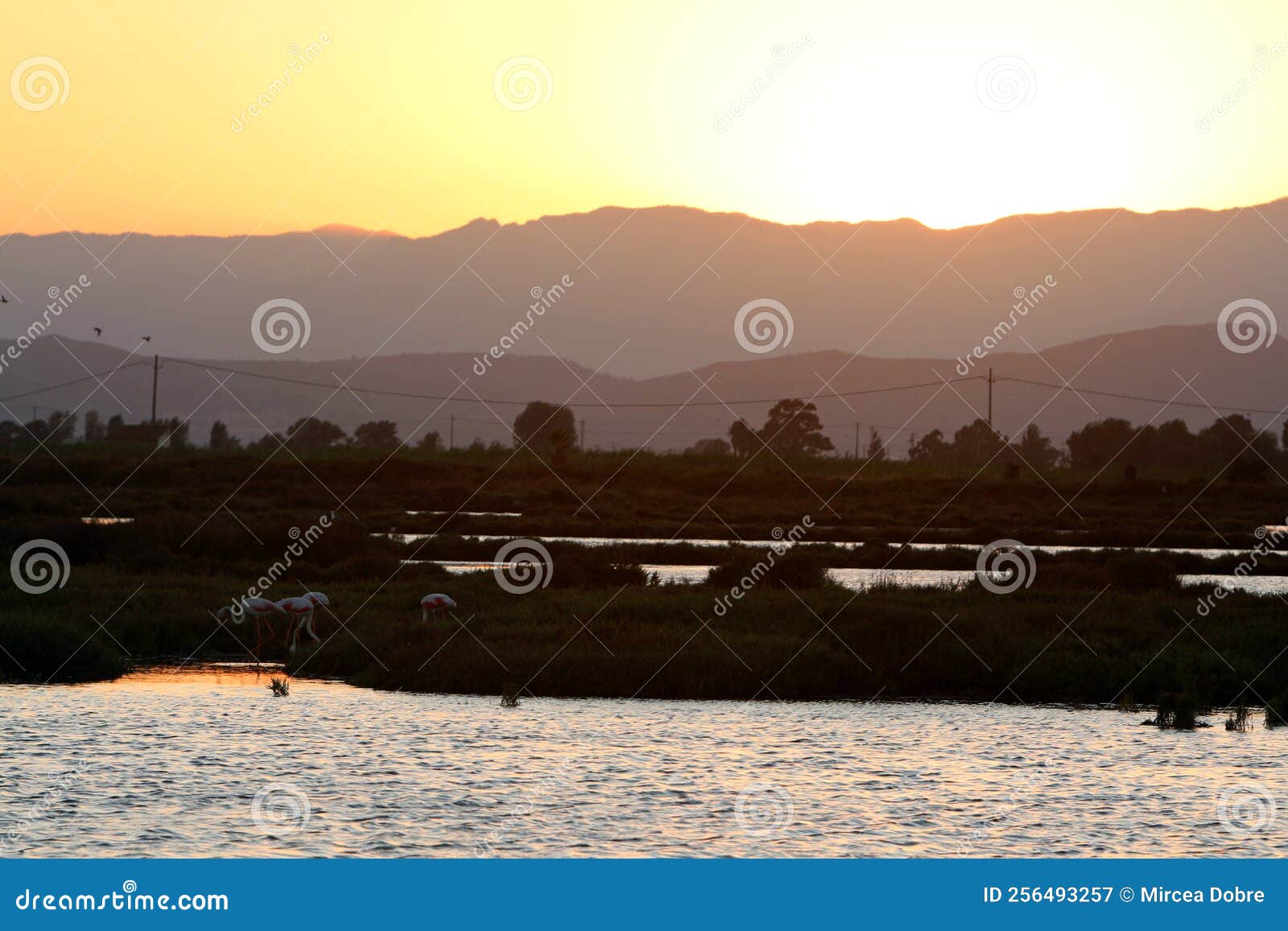 delta del ebro en cataluÃÂ±a, espaÃÂ±a .sunset