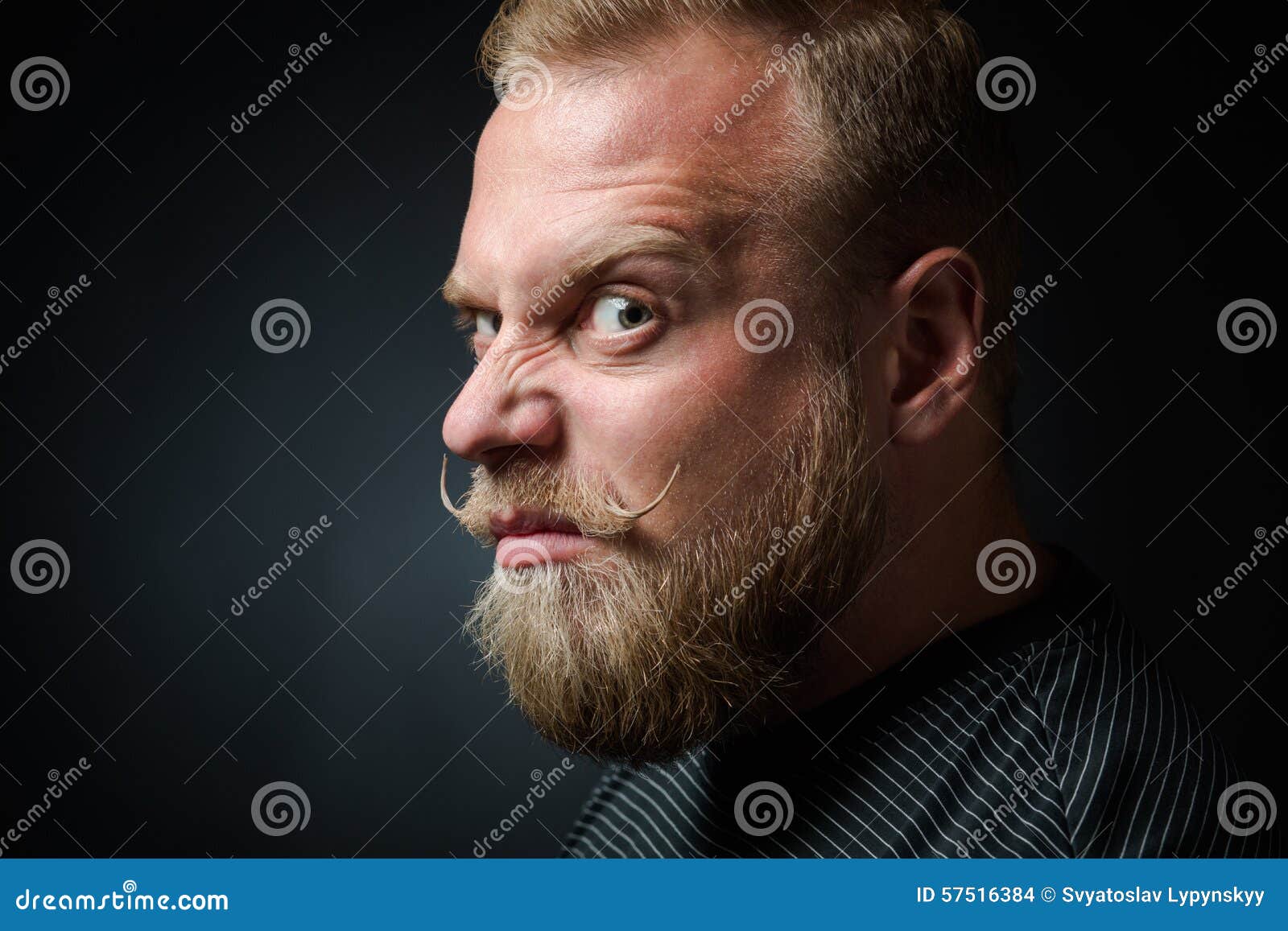 Demanding bearded man stock photo. Image of stylish, male - 57516384