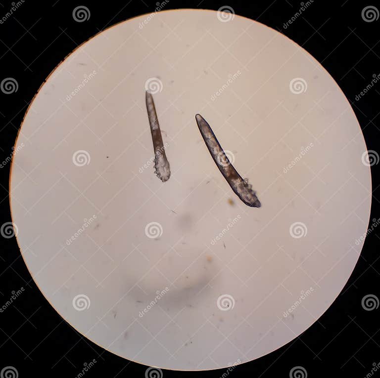 My Image 9