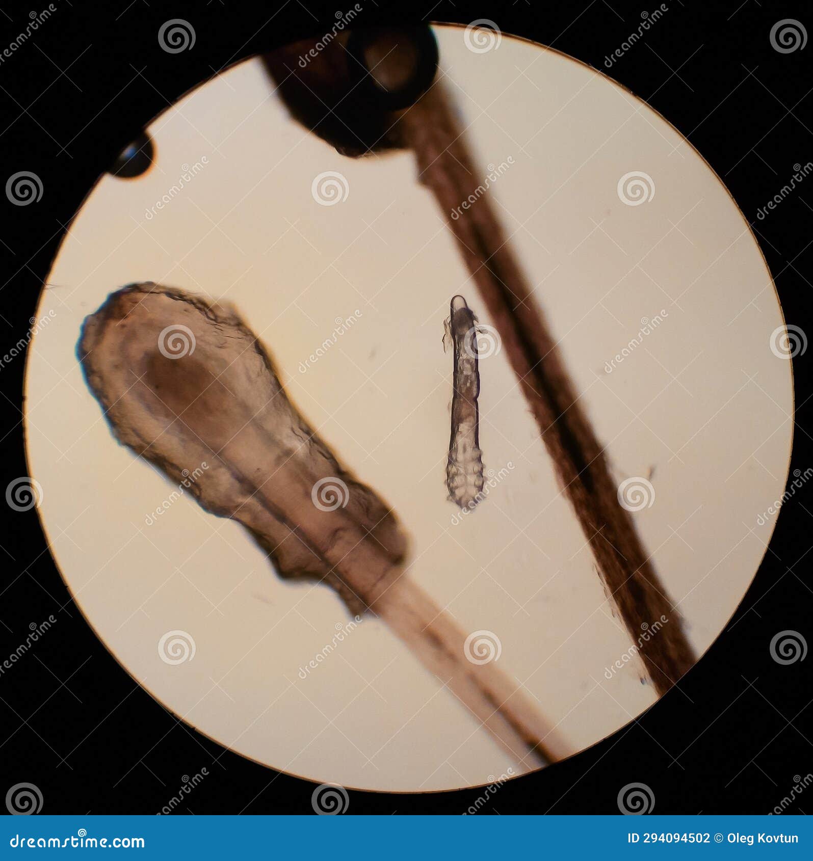 My Image 15