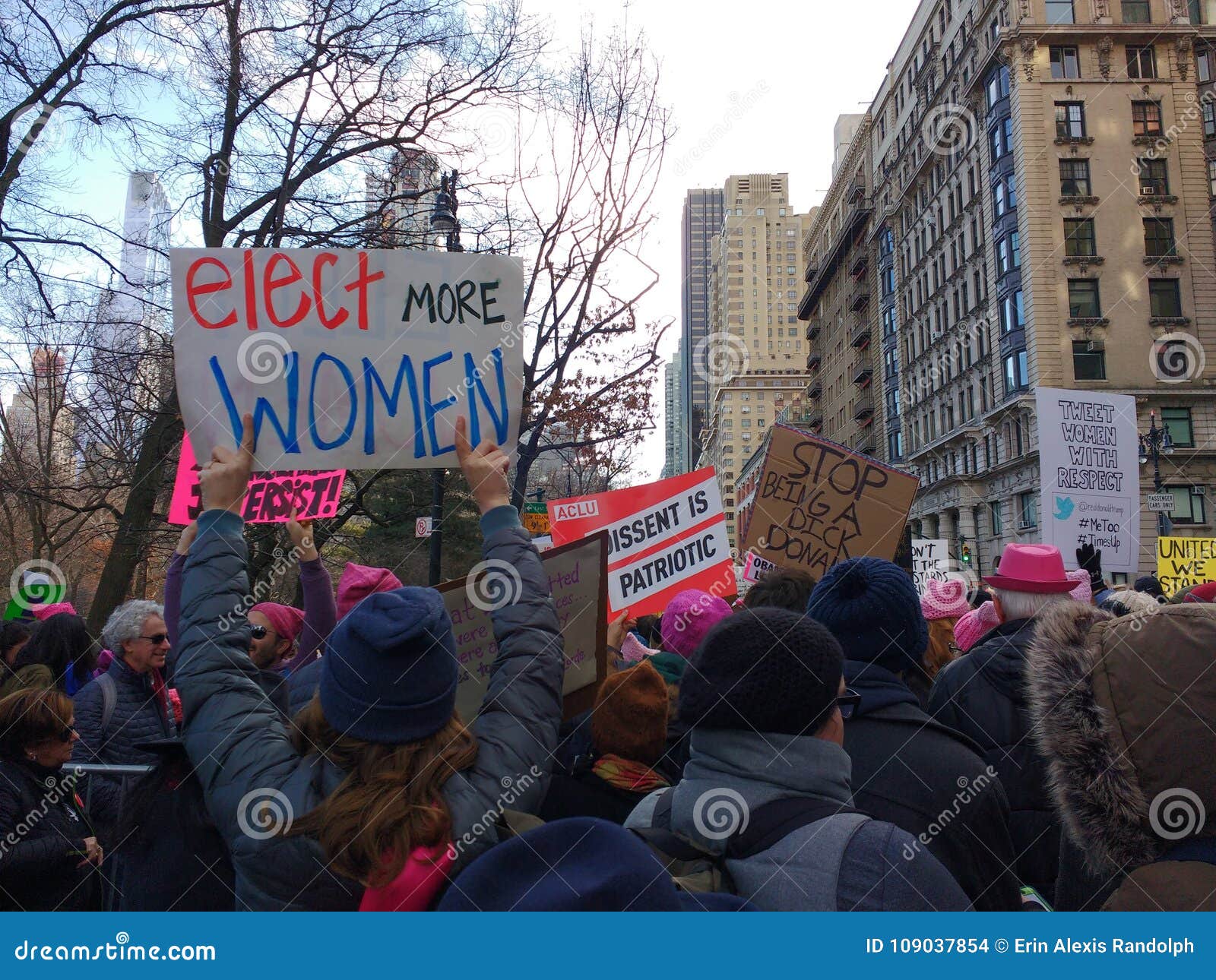 Crowd Protesting, Women`s March, NYC, NY, USA Editorial Stock Image