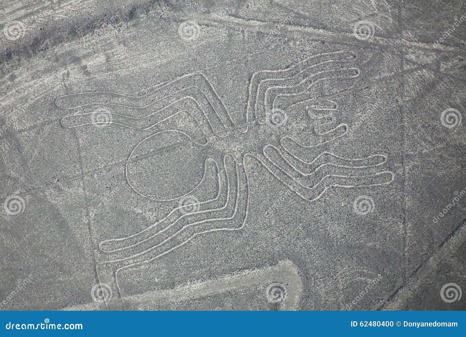 Den flyg- sikten av Nazca fodrar - spindelgeoglyph, Peru Linjerna designerades som en UNESCOvärldsarv i 1994