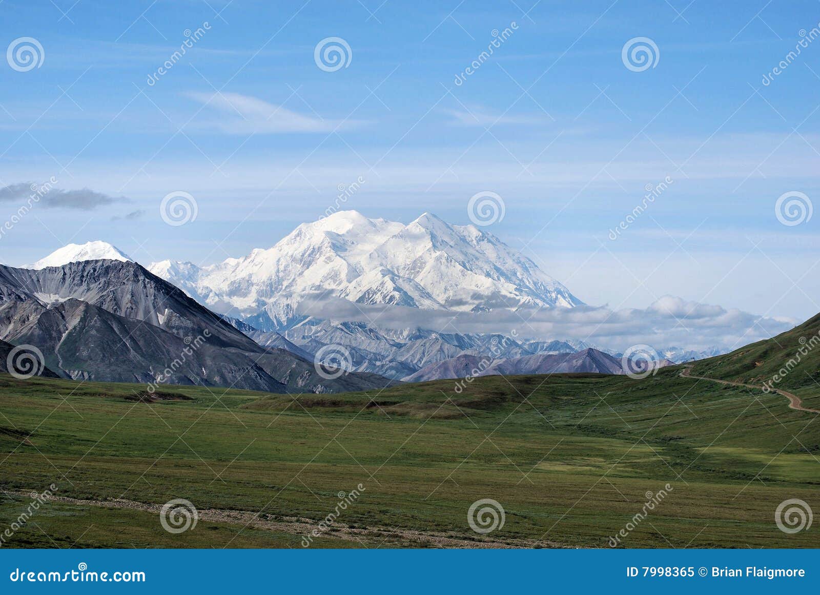 denali national park