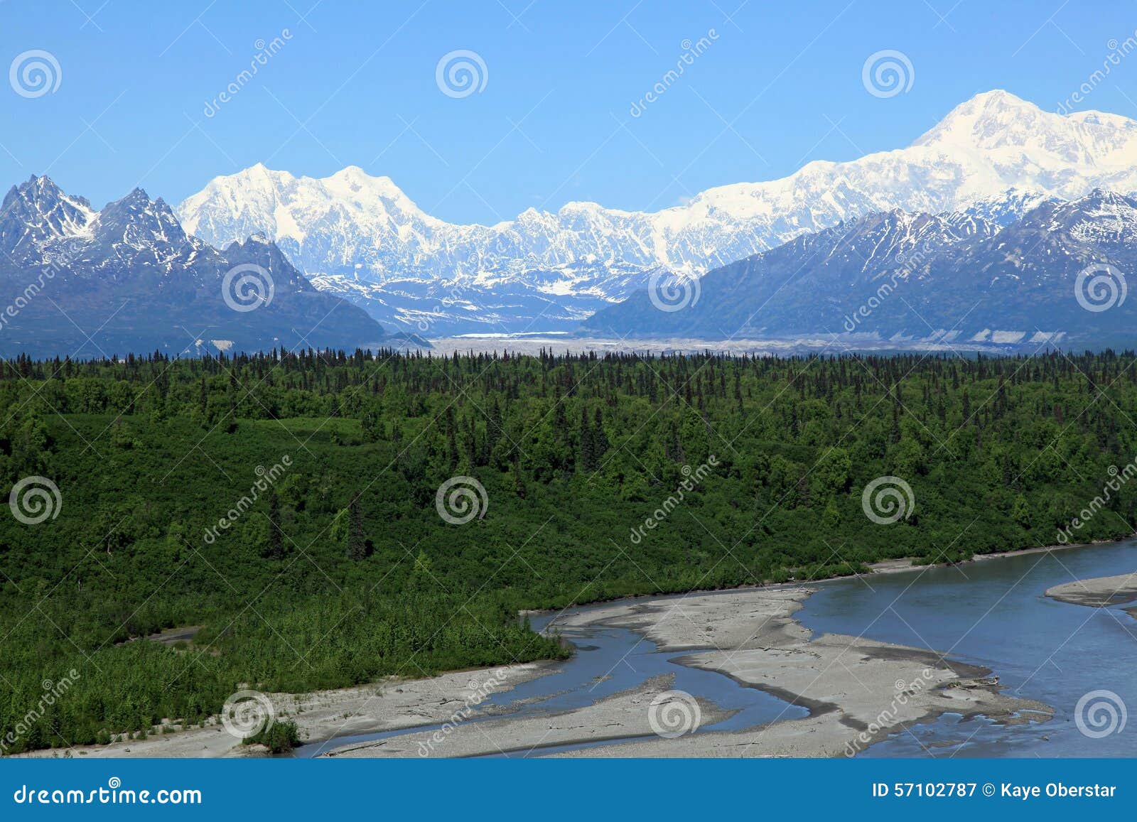 Denali View South stock image. Image of creek, clear 57102787