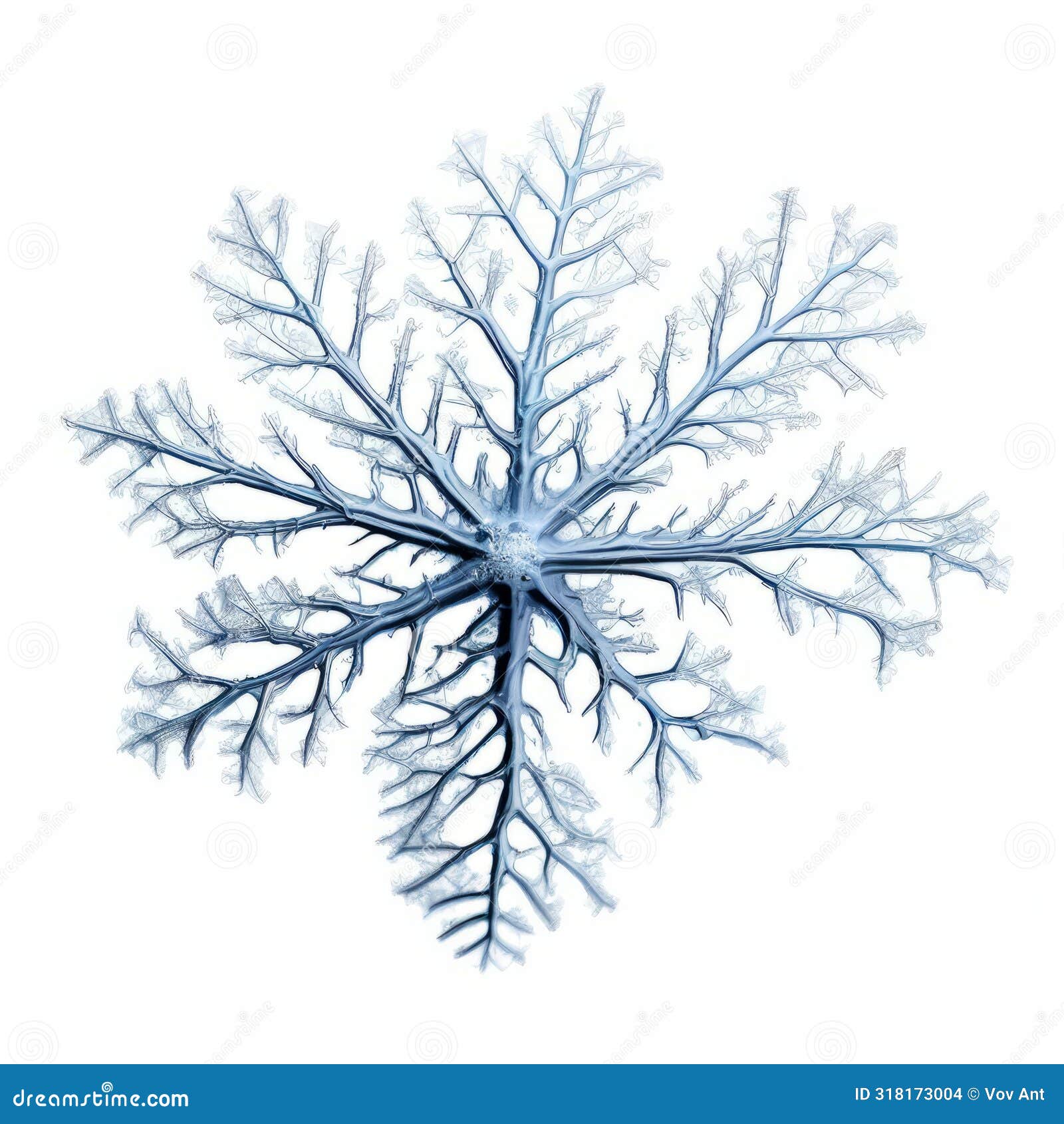 dendrite branch like extensions that form on the surface of sn