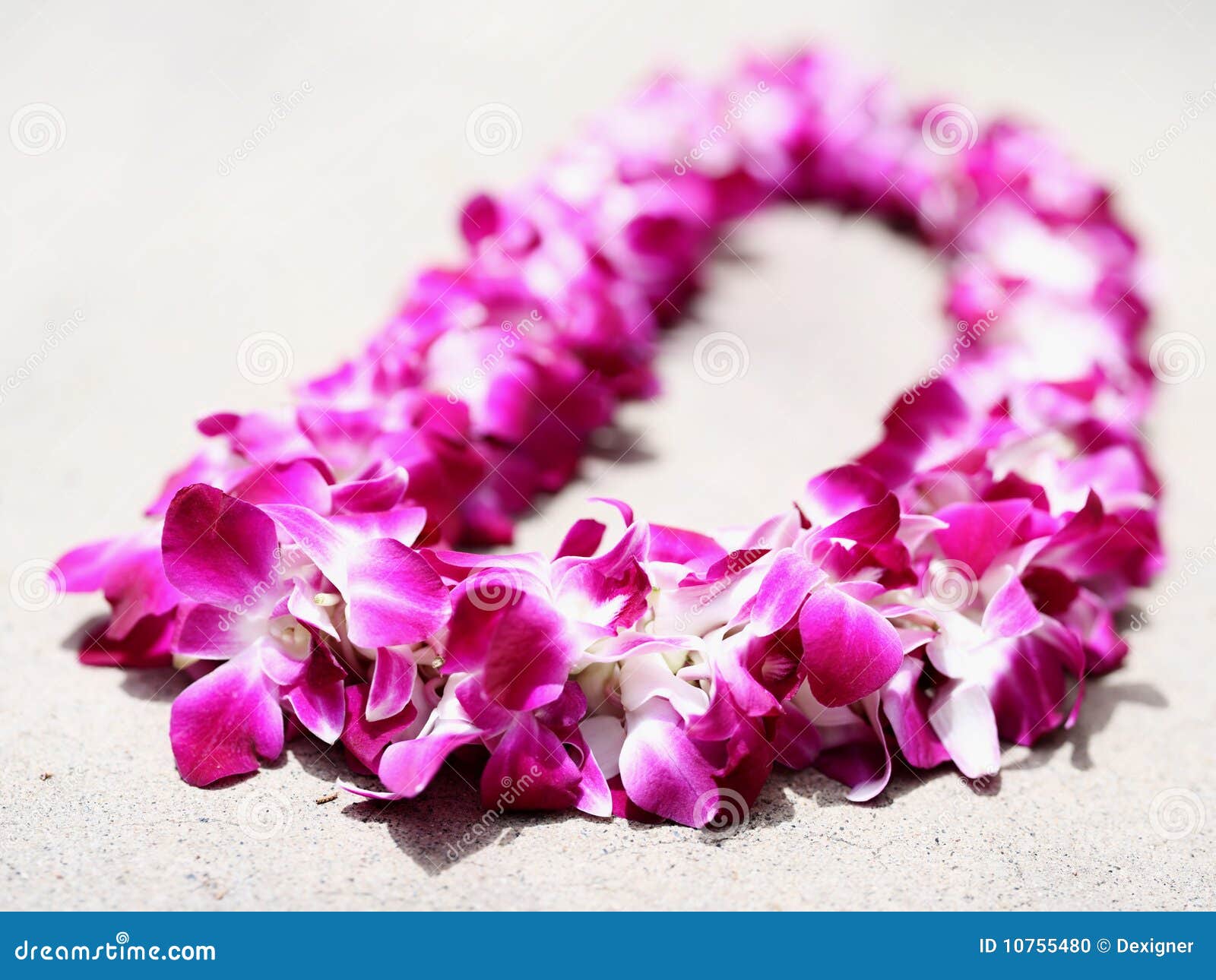 Dendrobium Orchid Leis Stock Photo Image Of Pink Colors