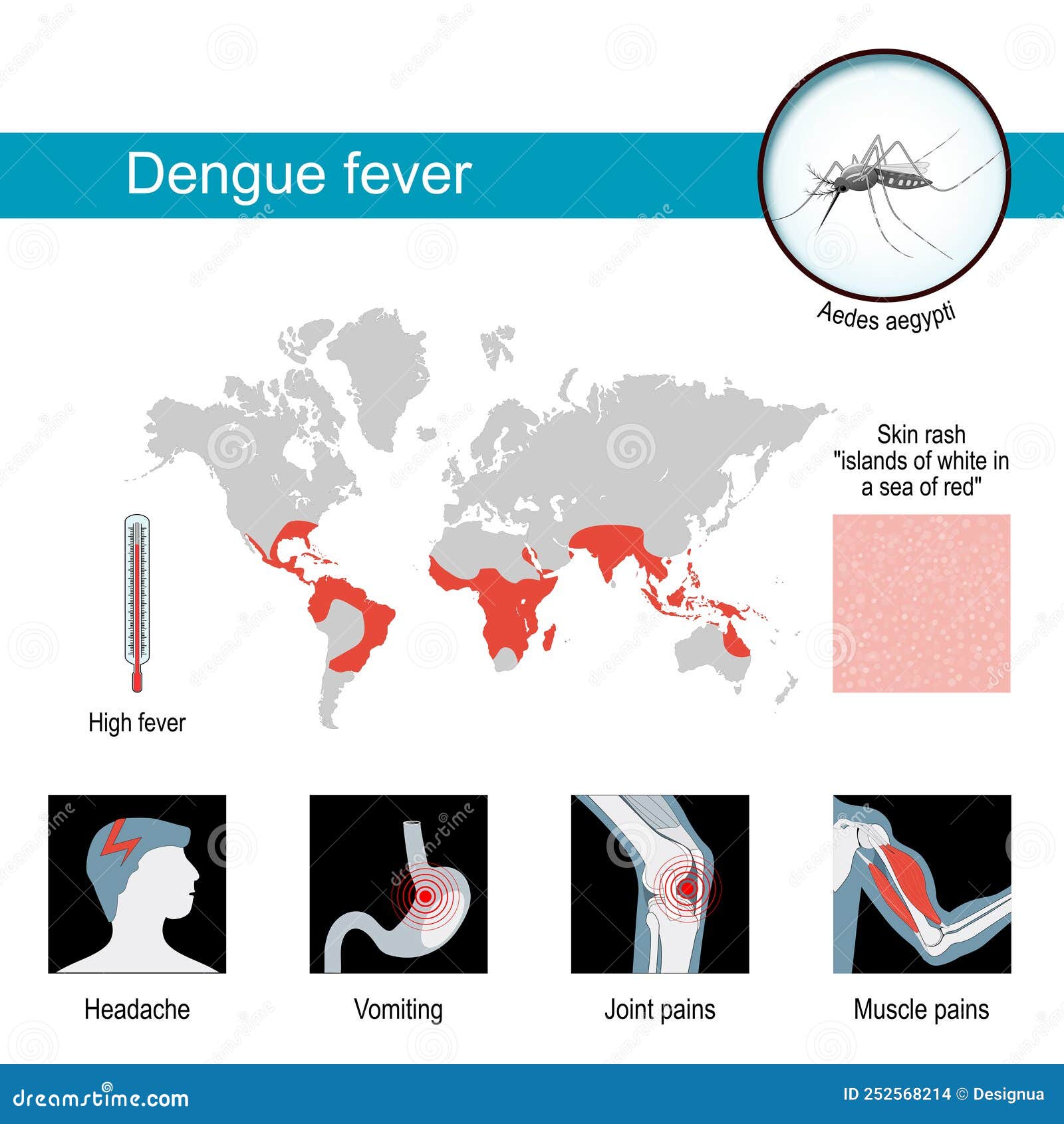 dengue map