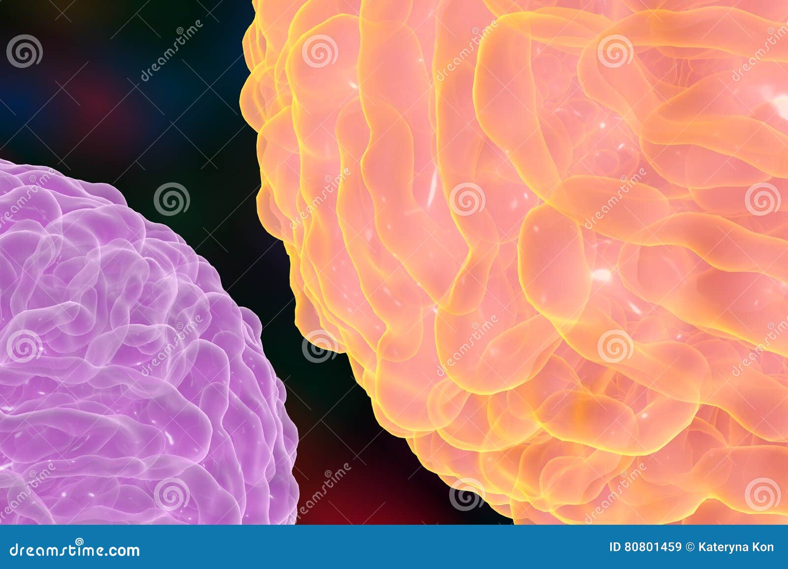 dengue virus which causes yellow fever